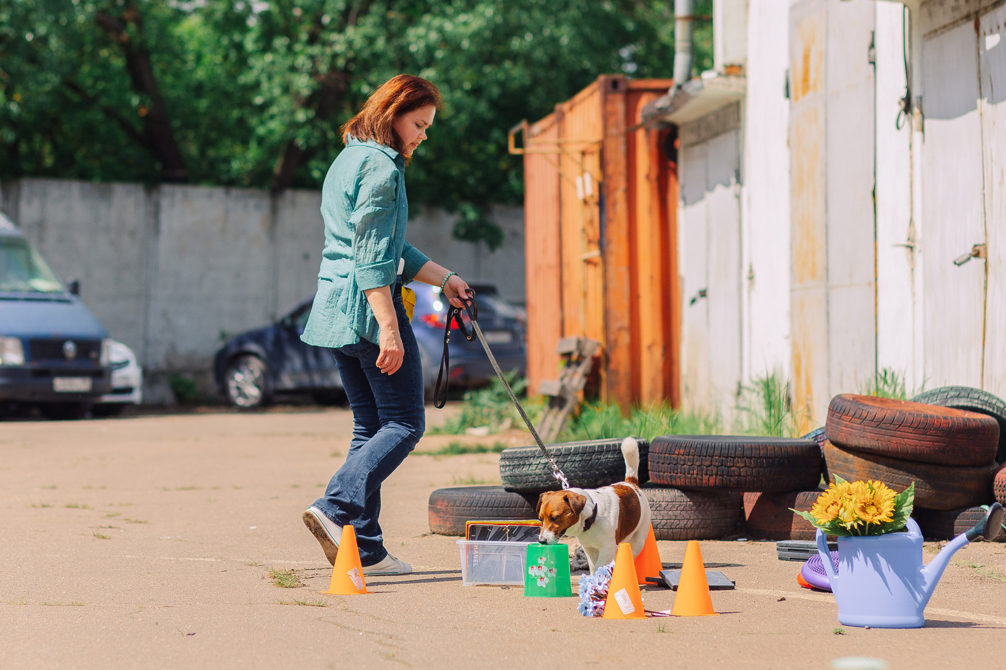 Дог-туса. Фотограф-анималист Елена Радченко, Москва