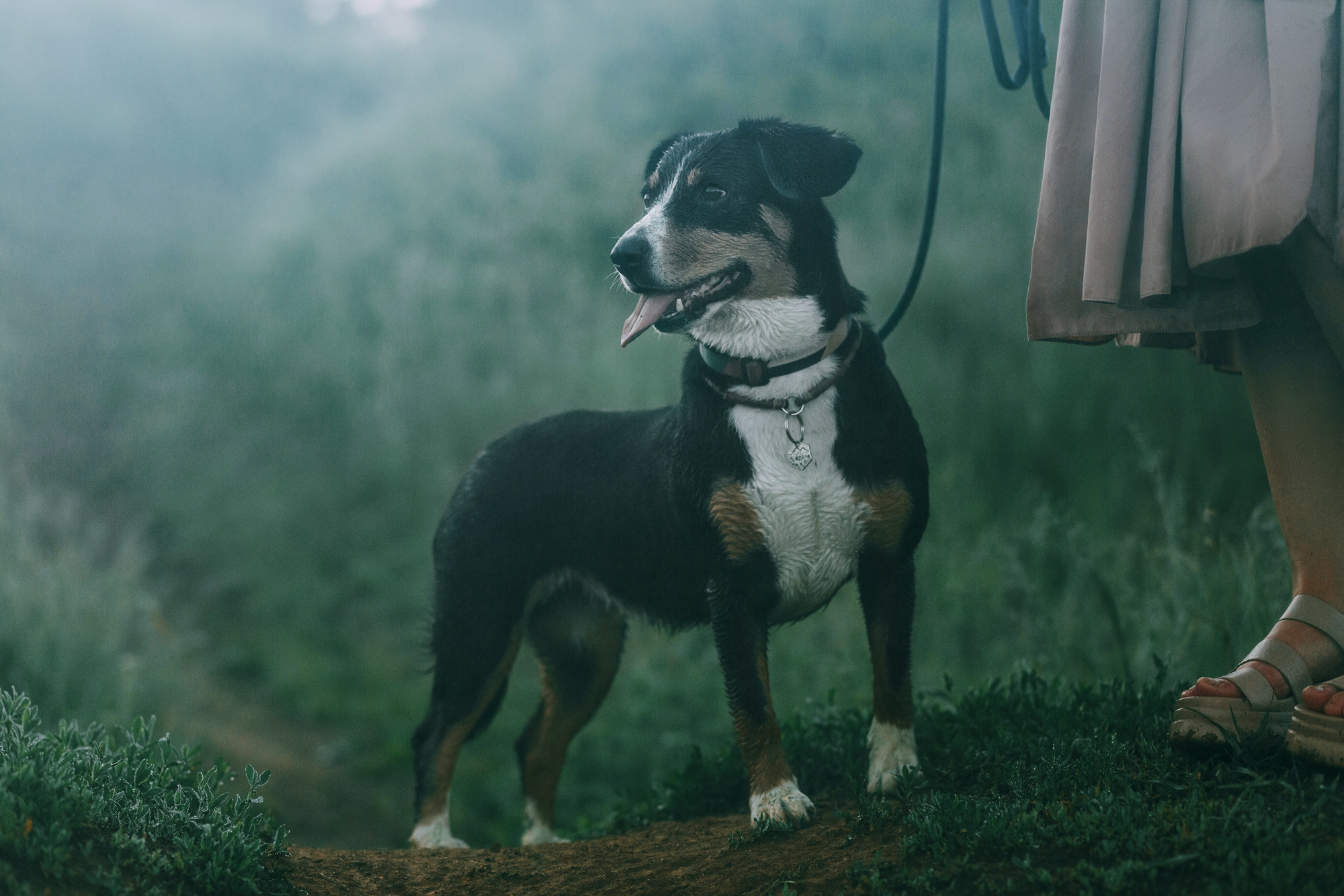 Лида и Яра. Фотограф-анималист Елена Радченко, Москва