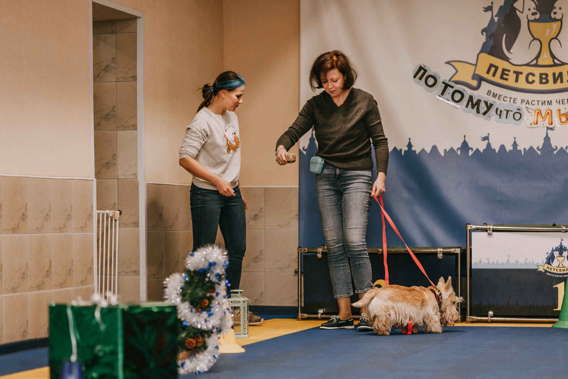 Собачий Новый год. Фотограф-анималист Елена Радченко, Москва