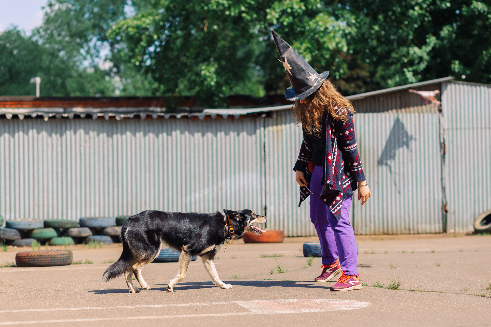 Дог-туса. Фотограф-анималист Елена Радченко, Москва