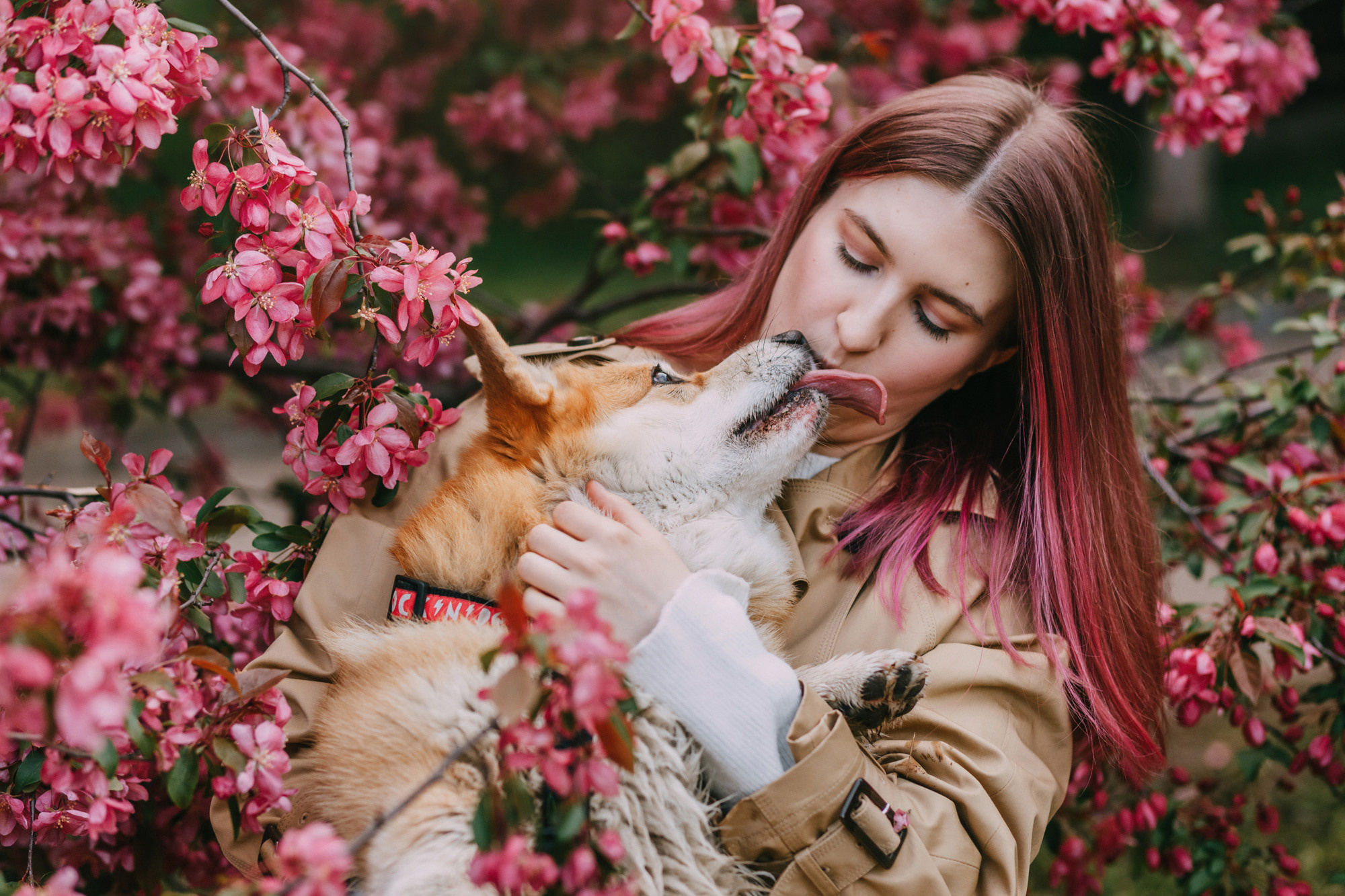 Анна и Филипп. Фотограф-анималист Елена Радченко, Москва