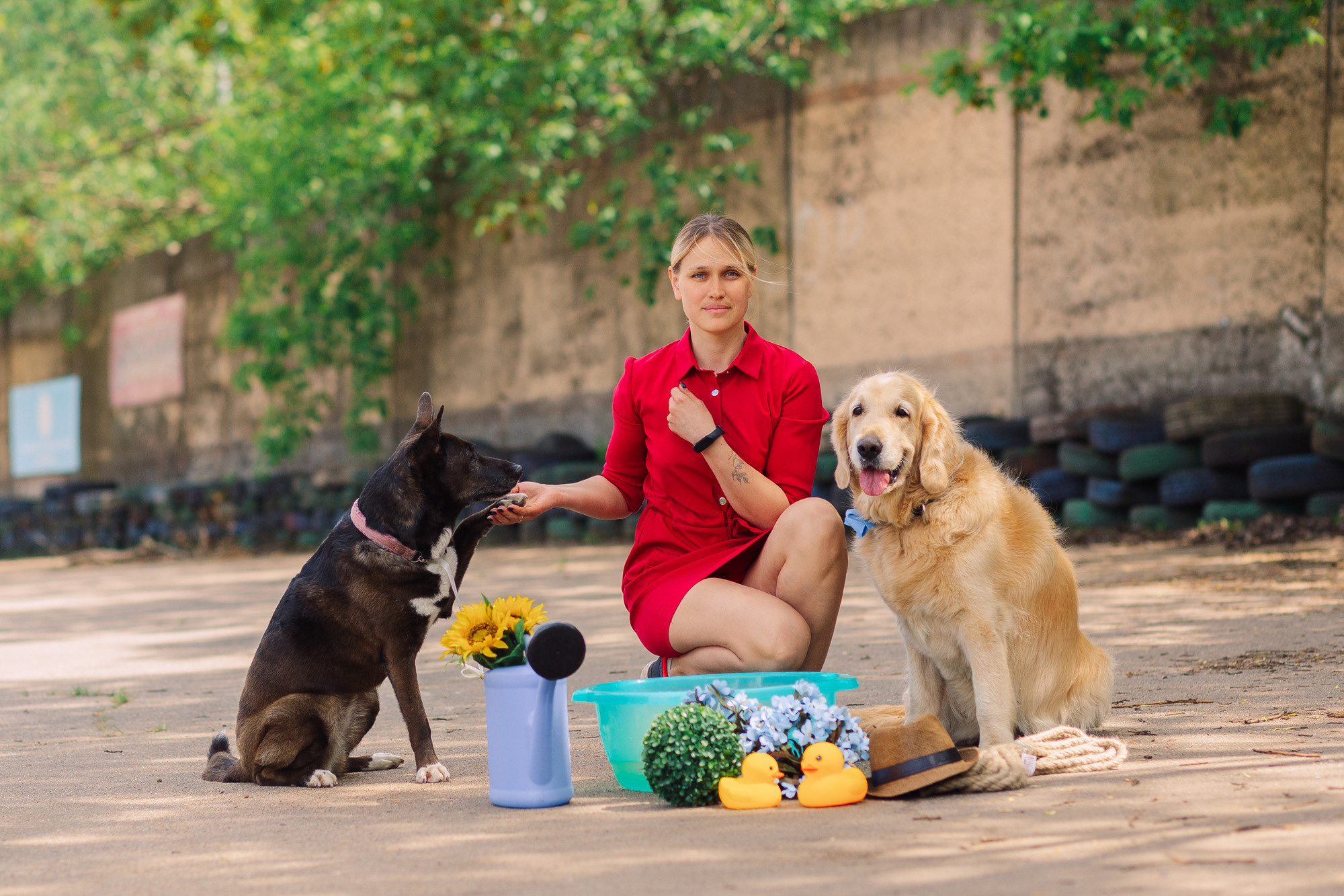 Дог-туса. Фотограф-анималист Елена Радченко, Москва