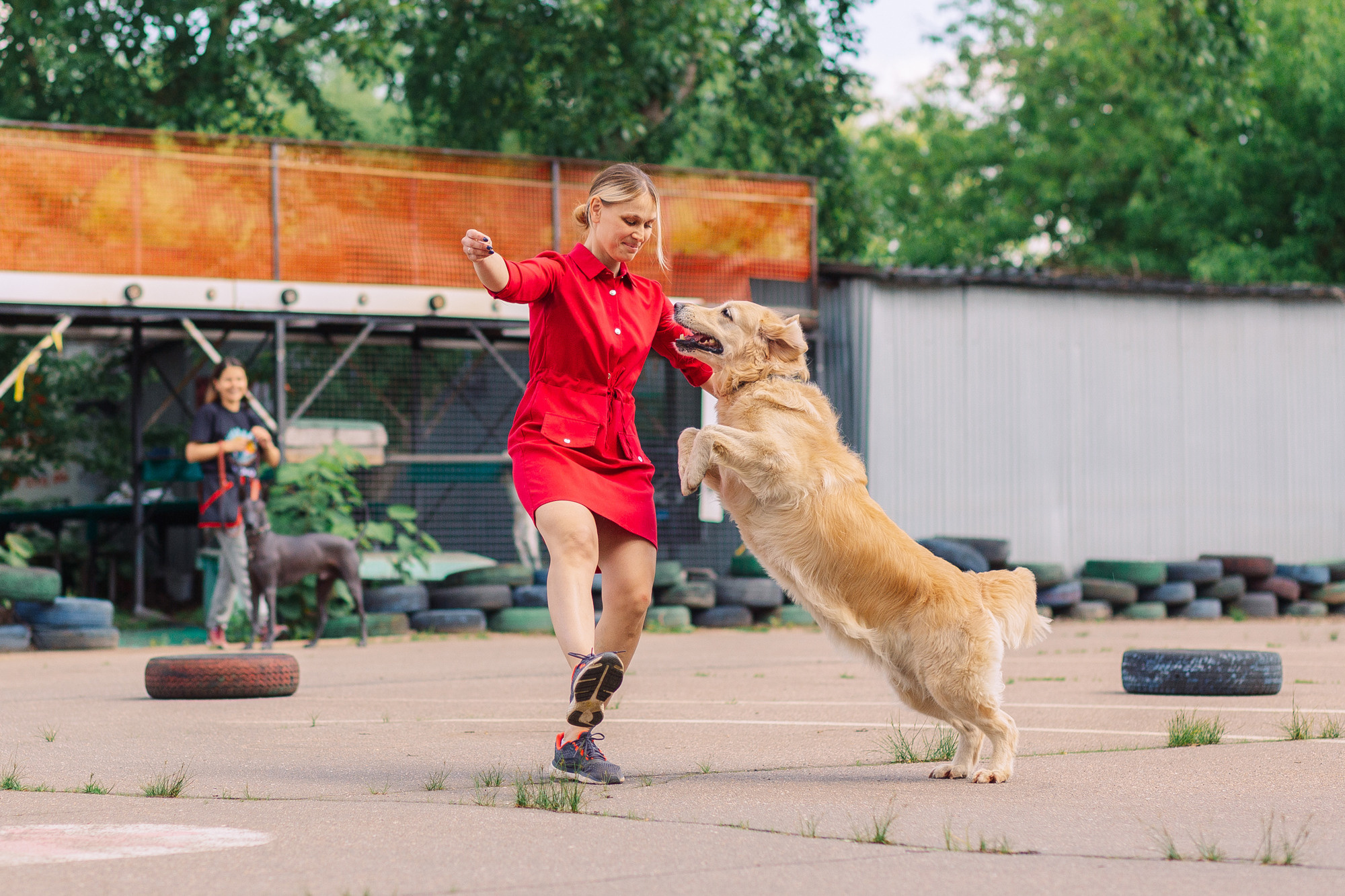 Дог-туса. Фотограф-анималист Елена Радченко, Москва