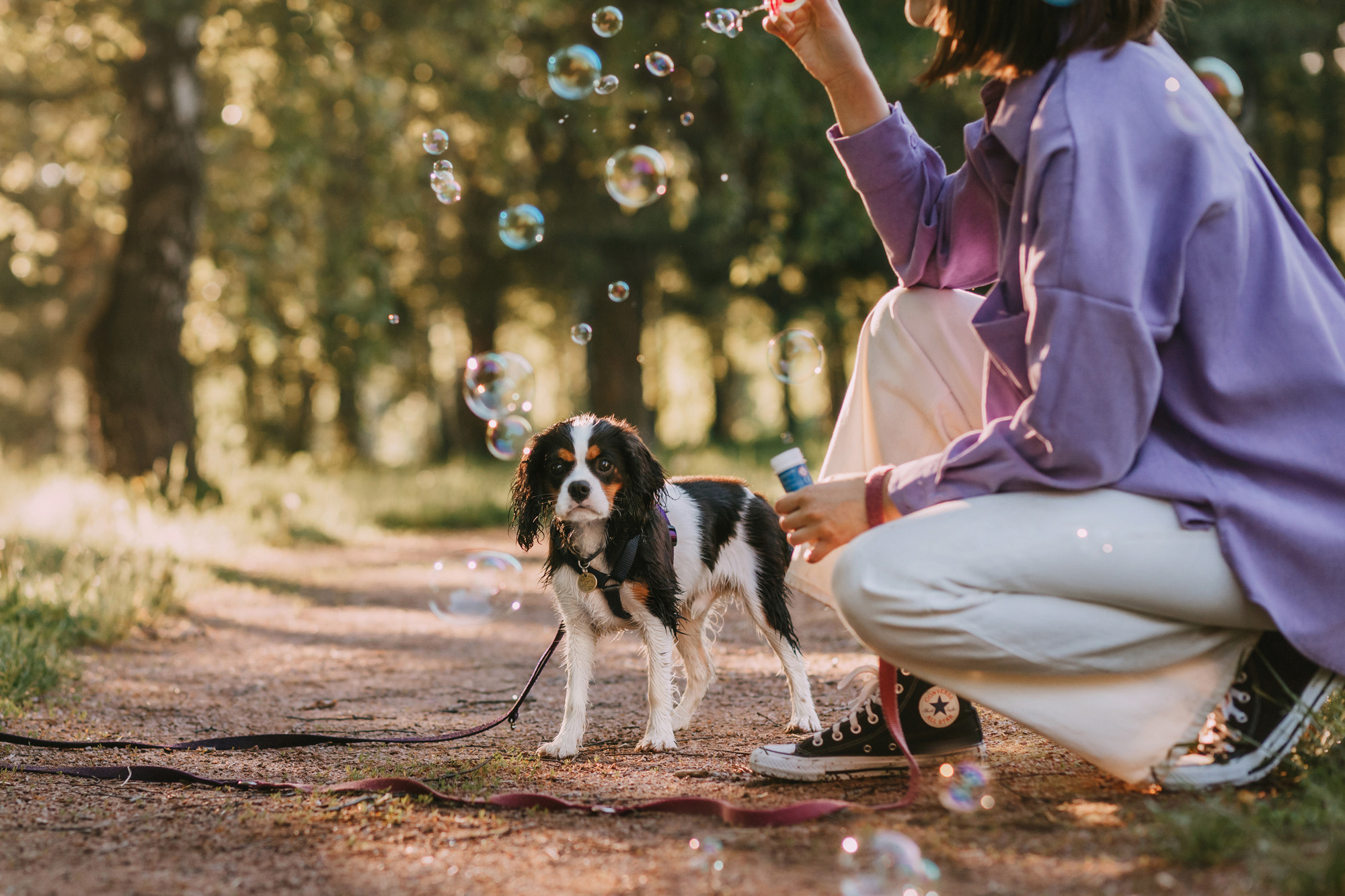 Вика и Морти. Фотограф-анималист Елена Радченко, Москва