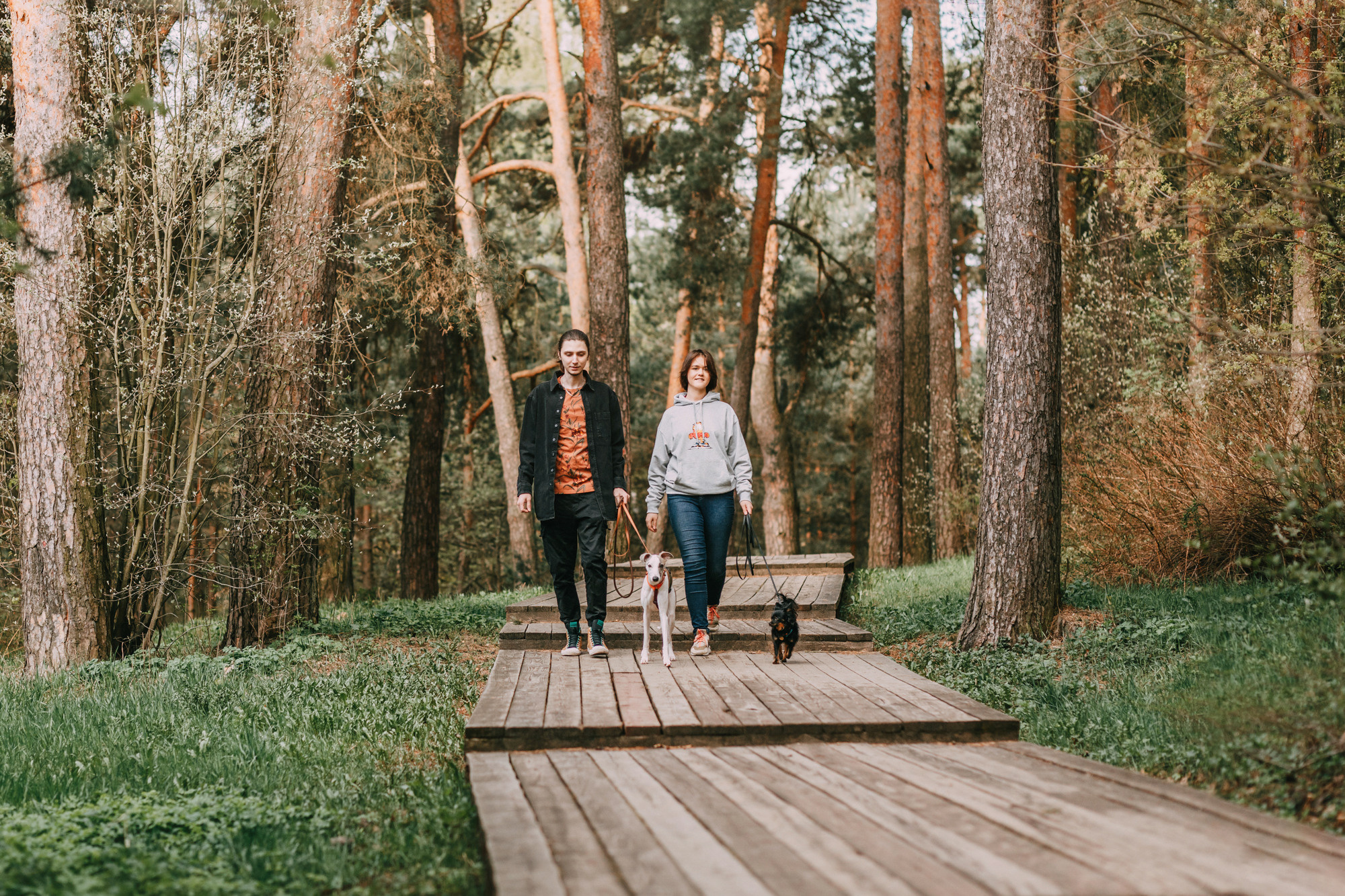 Соня, Максим, Данте и Ланя. Фотограф-анималист Елена Радченко, Москва