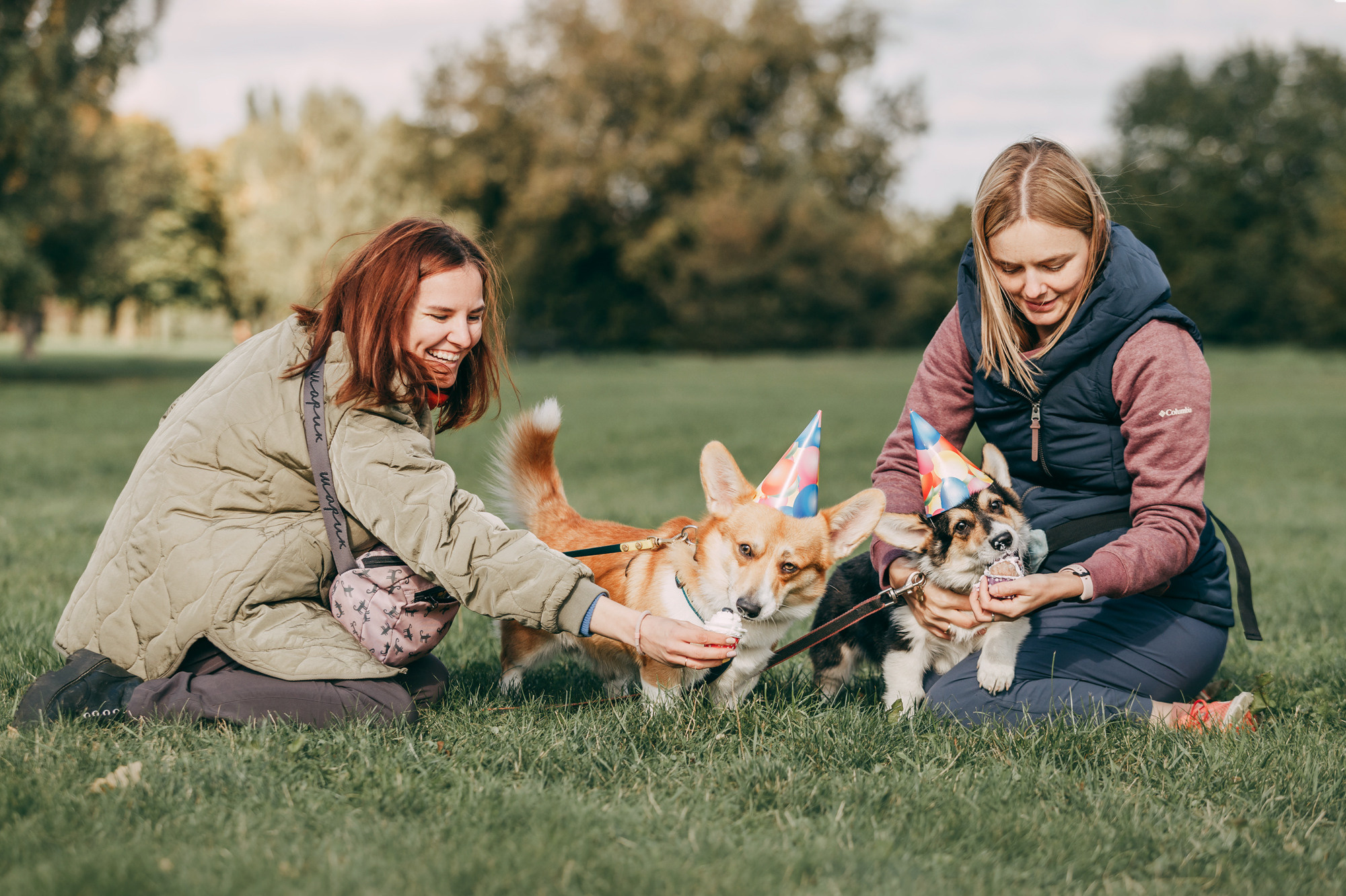 День рождения Габи. Фотограф-анималист Елена Радченко, Москва
