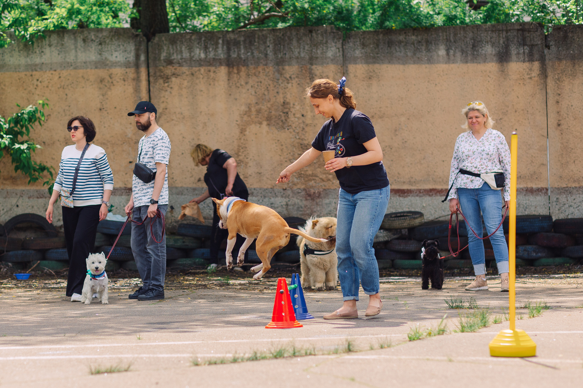 Дог-туса. Фотограф-анималист Елена Радченко, Москва
