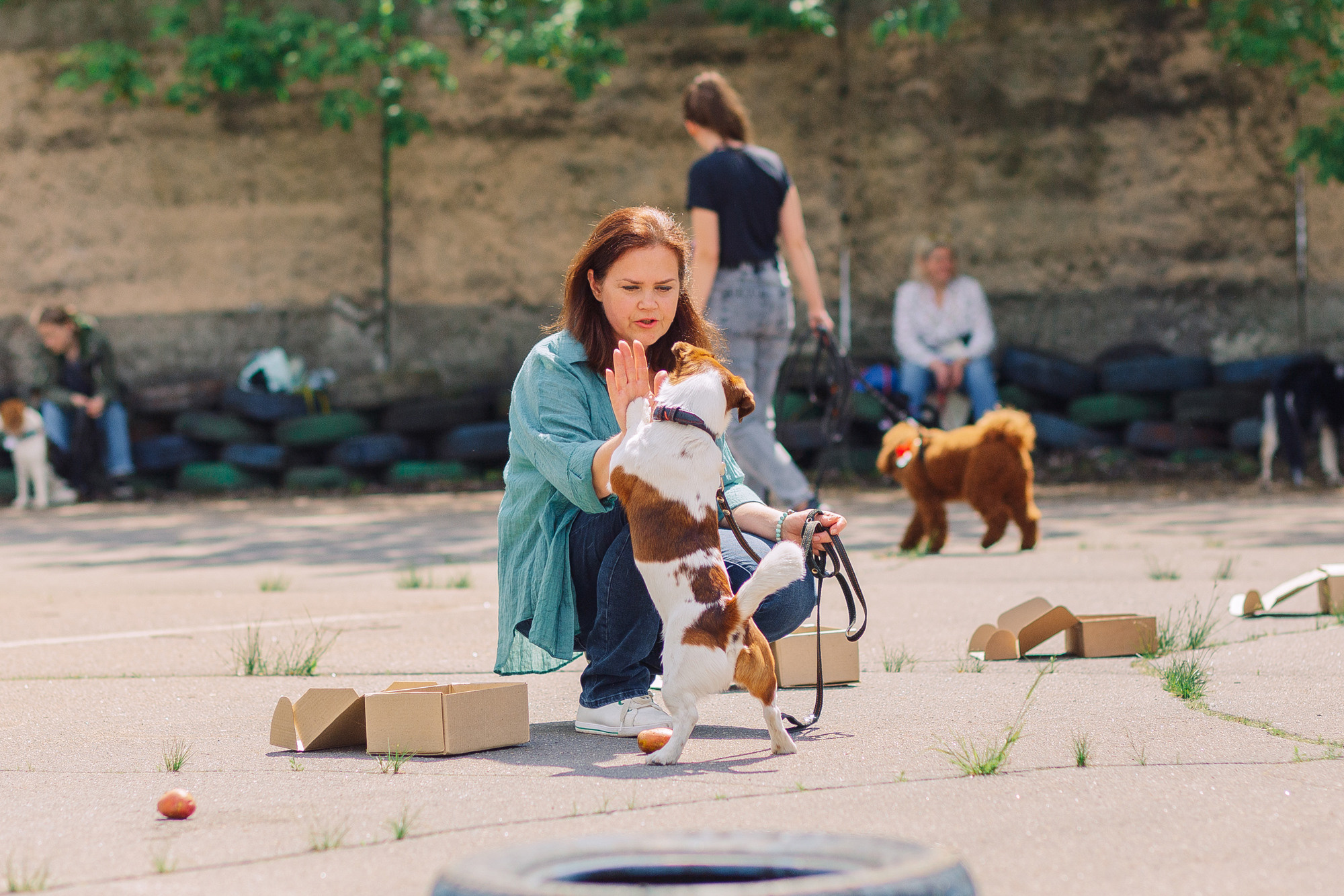Дог-туса. Фотограф-анималист Елена Радченко, Москва