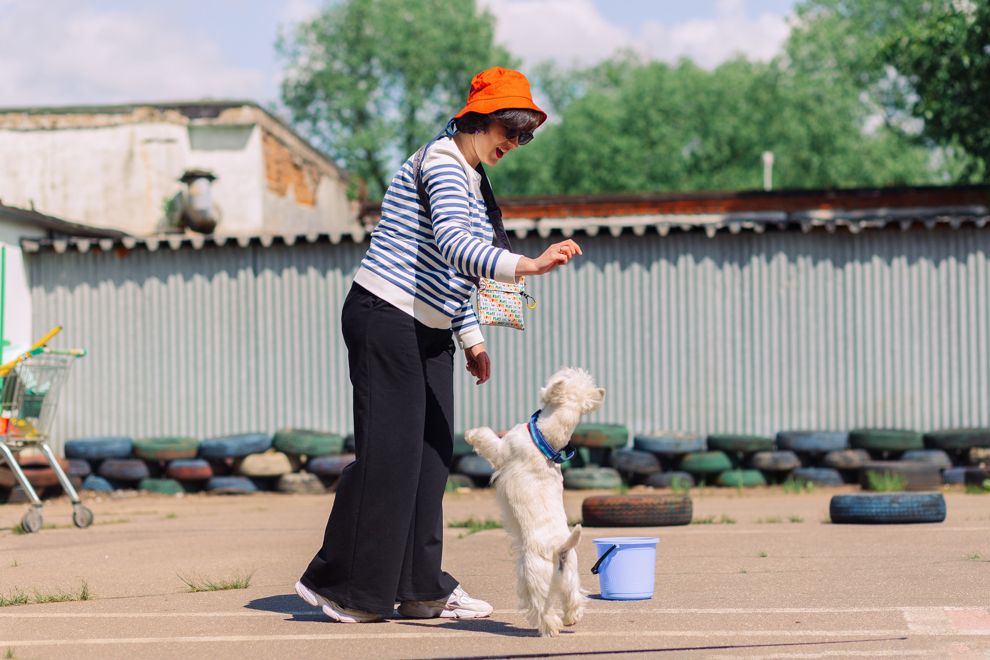 Дог-туса. Фотограф-анималист Елена Радченко, Москва