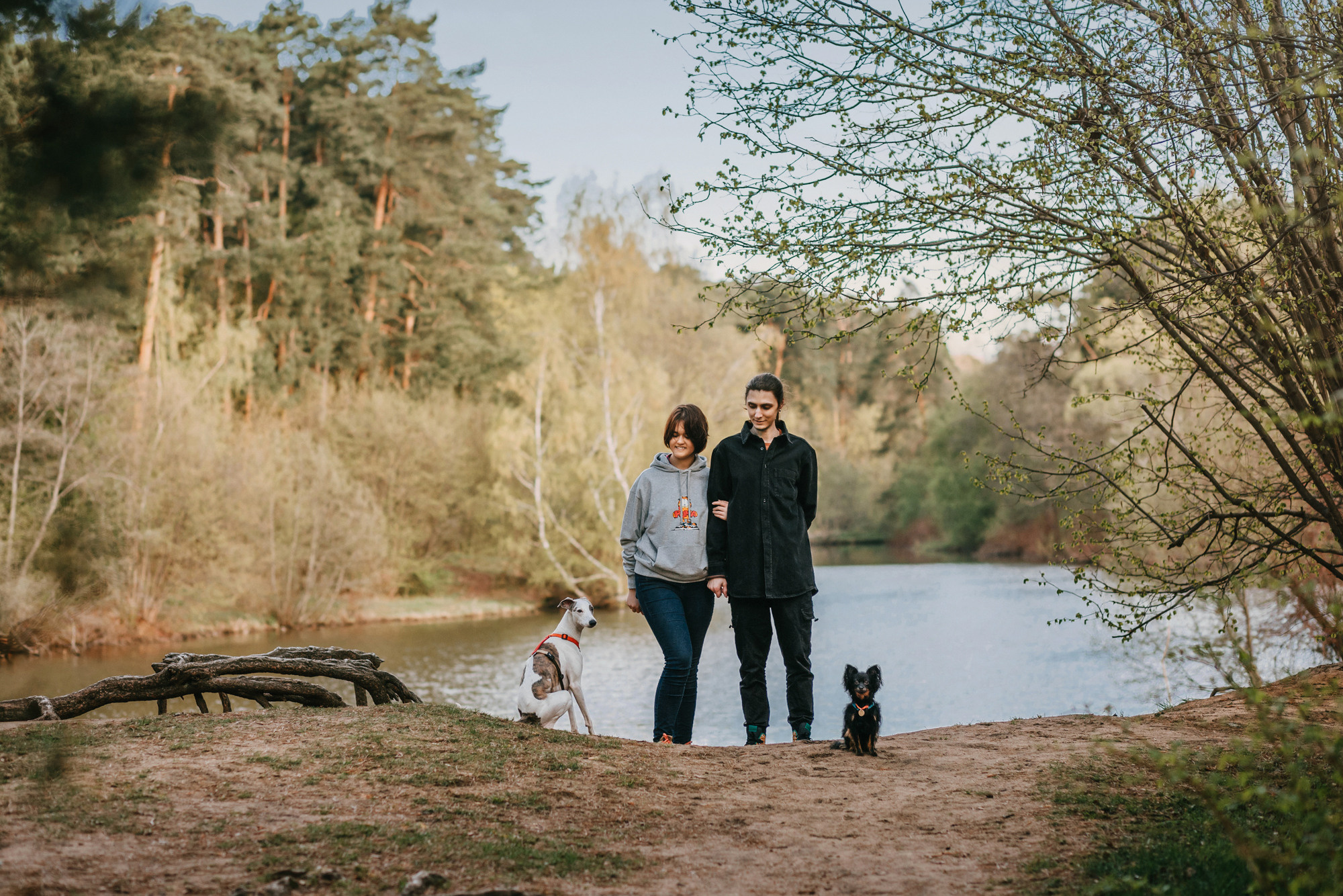 Соня, Максим, Данте и Ланя. Фотограф-анималист Елена Радченко, Москва