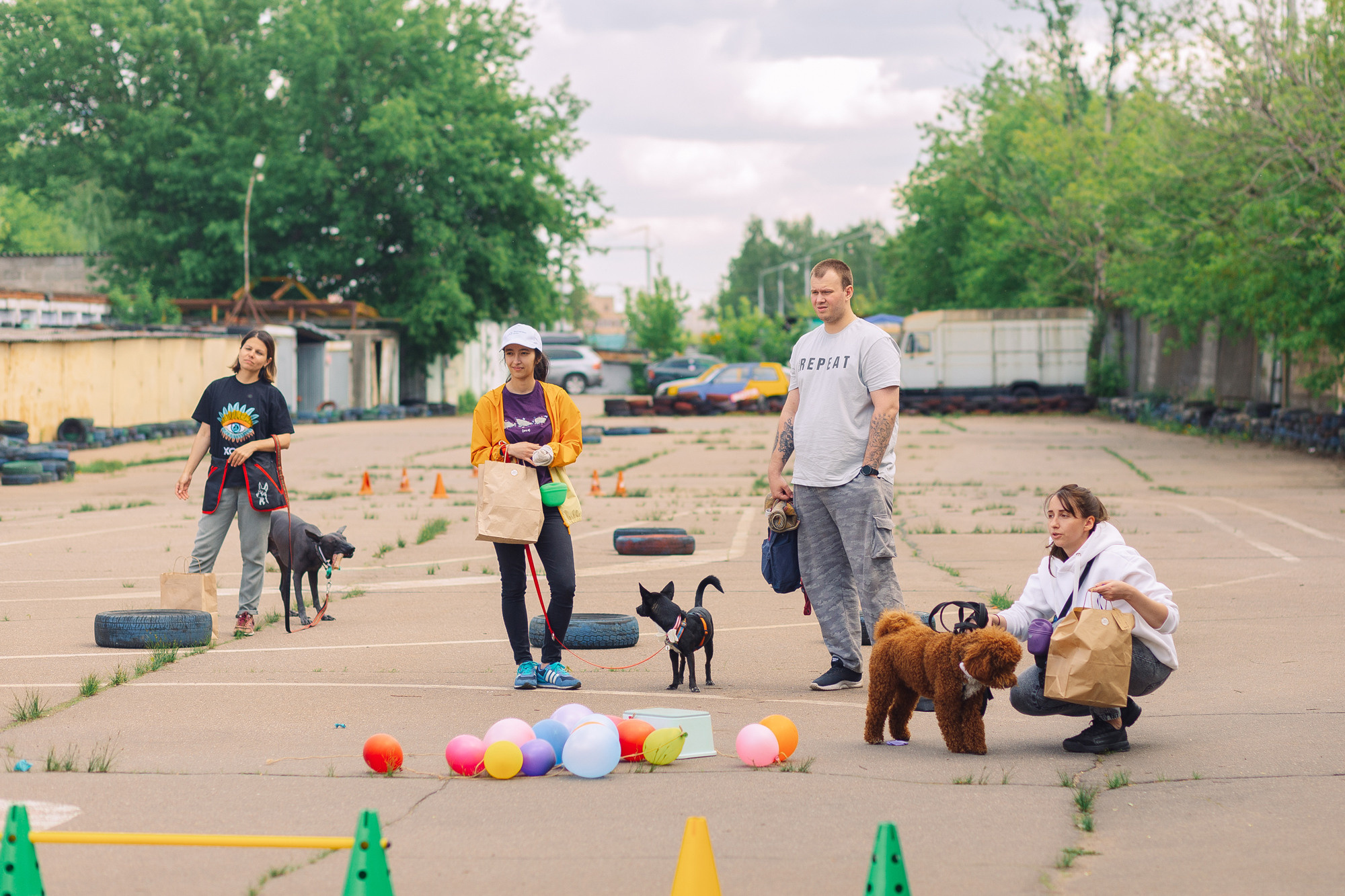 Дог-туса. Фотограф-анималист Елена Радченко, Москва