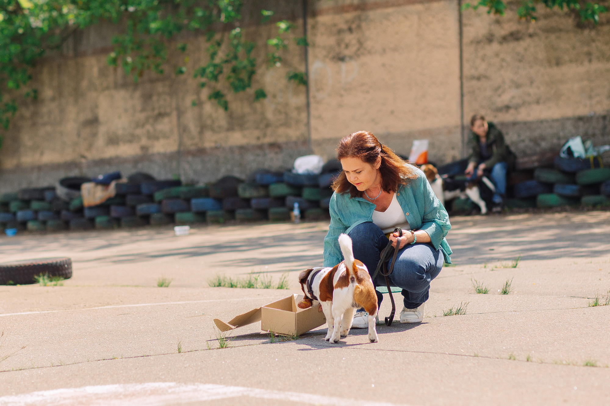 Дог-туса. Фотограф-анималист Елена Радченко, Москва