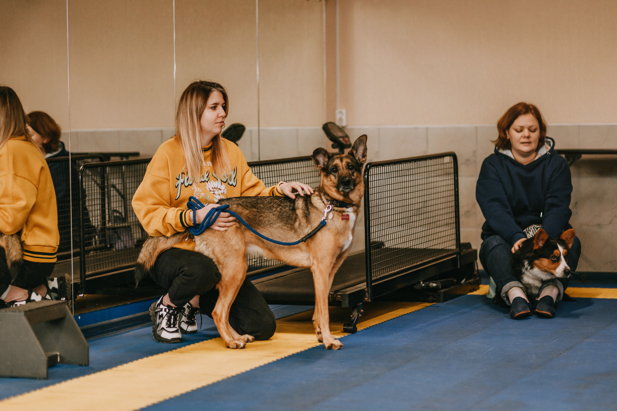 Собачий Новый год. Фотограф-анималист Елена Радченко, Москва