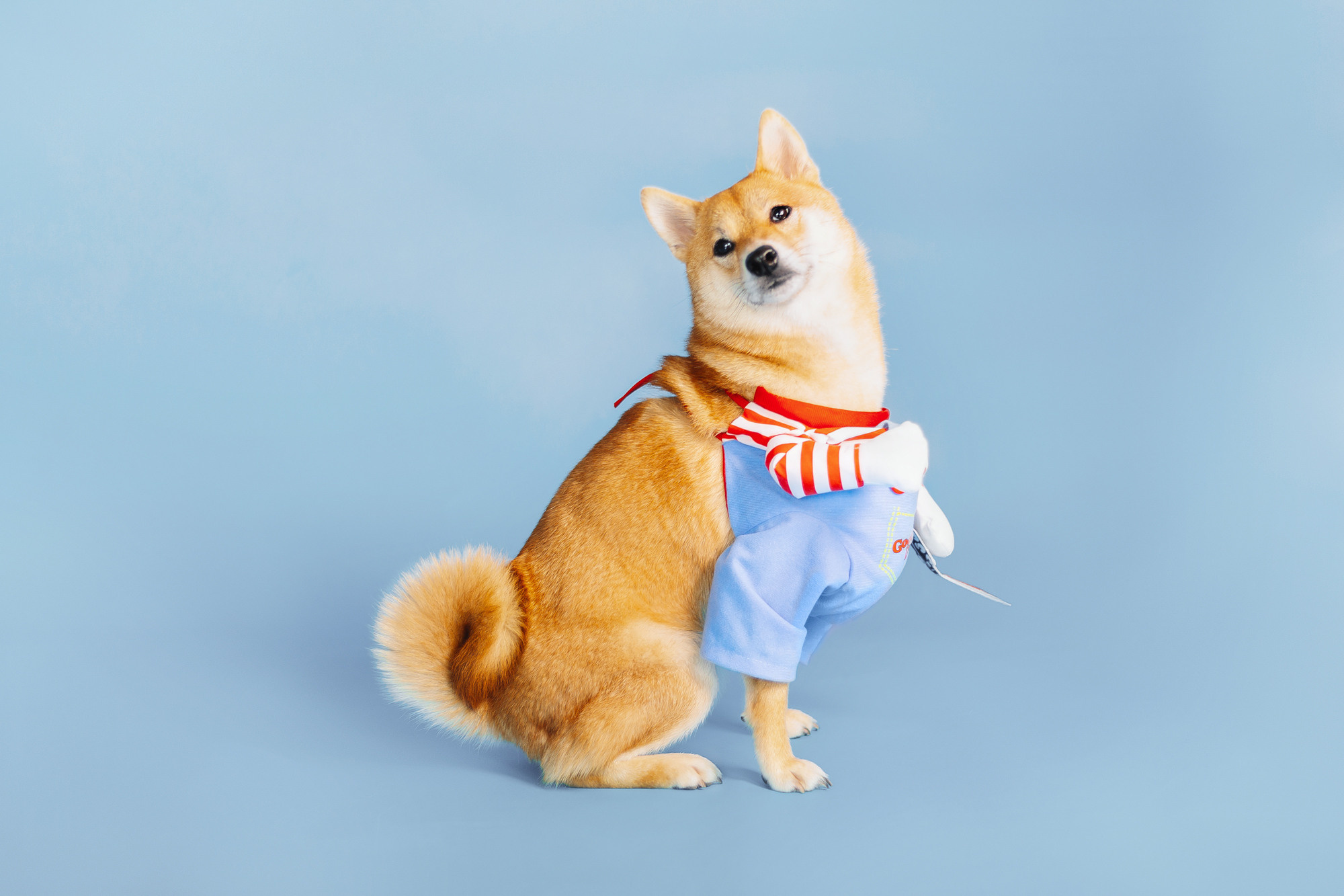 Магазин Friend of mine. Фотограф-анималист Елена Радченко, Москва