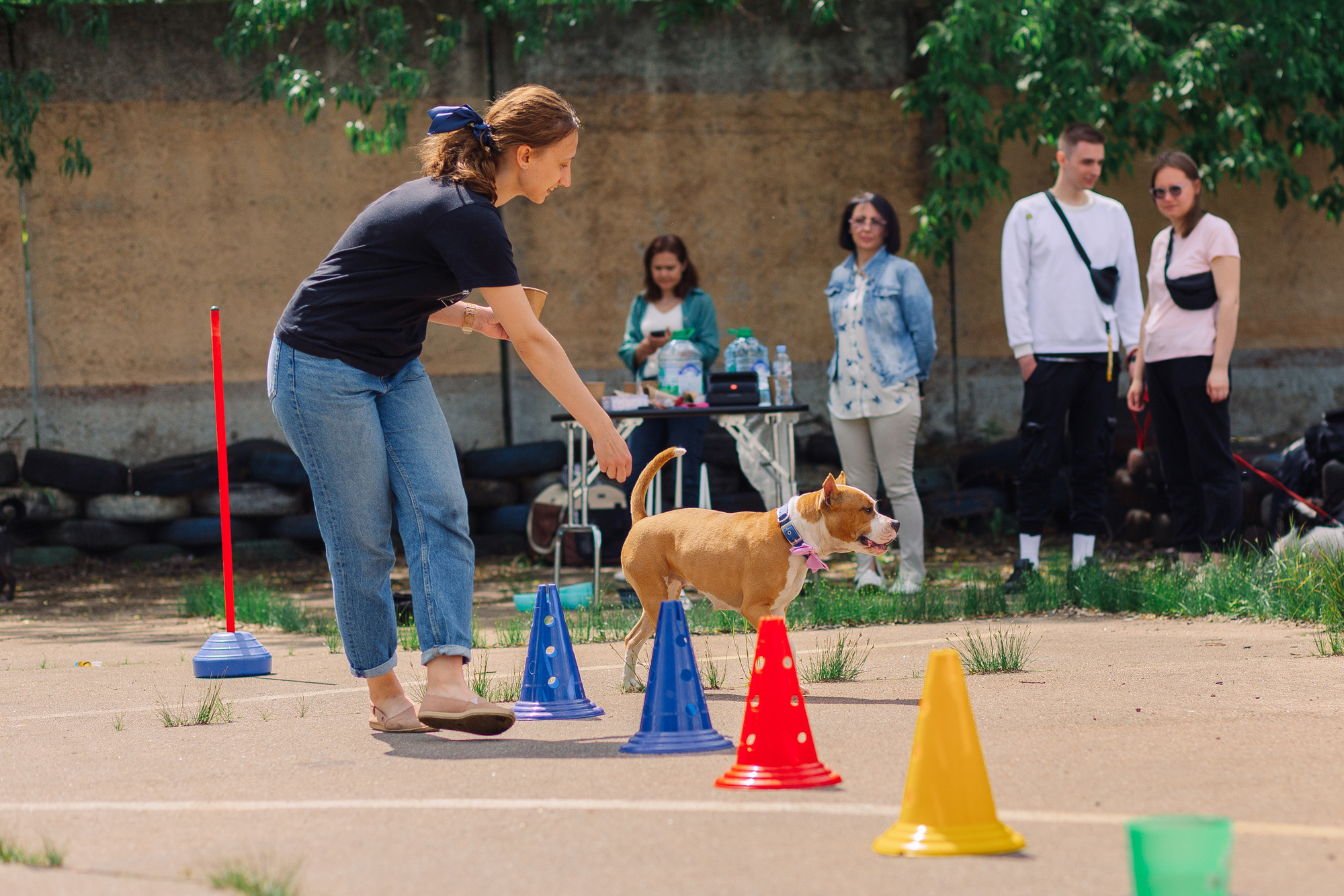 Дог-туса. Фотограф-анималист Елена Радченко, Москва