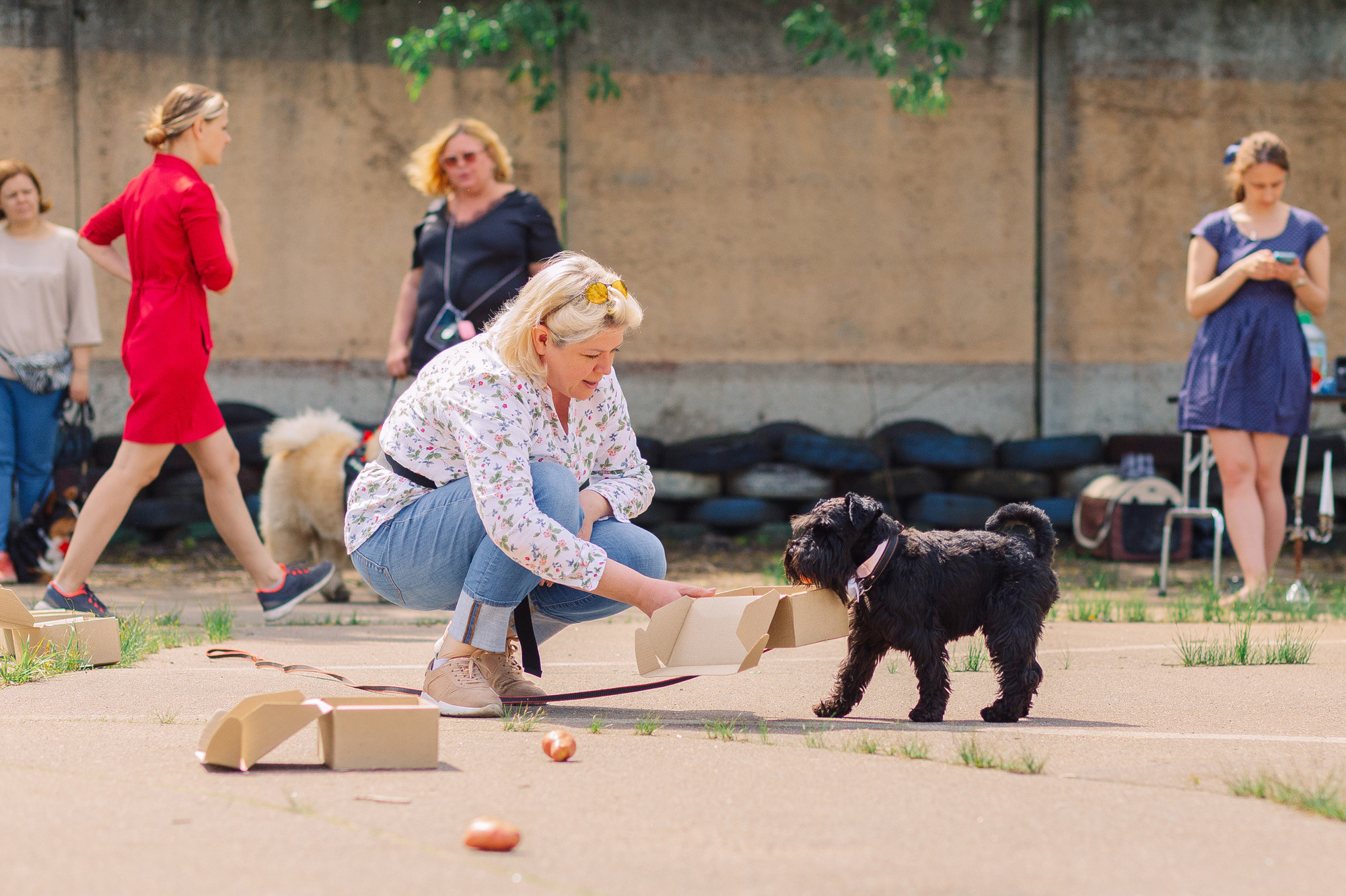 Дог-туса. Фотограф-анималист Елена Радченко, Москва