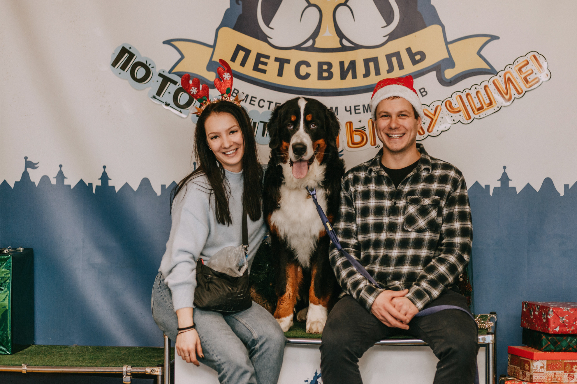 Собачий Новый год. Фотограф-анималист Елена Радченко, Москва