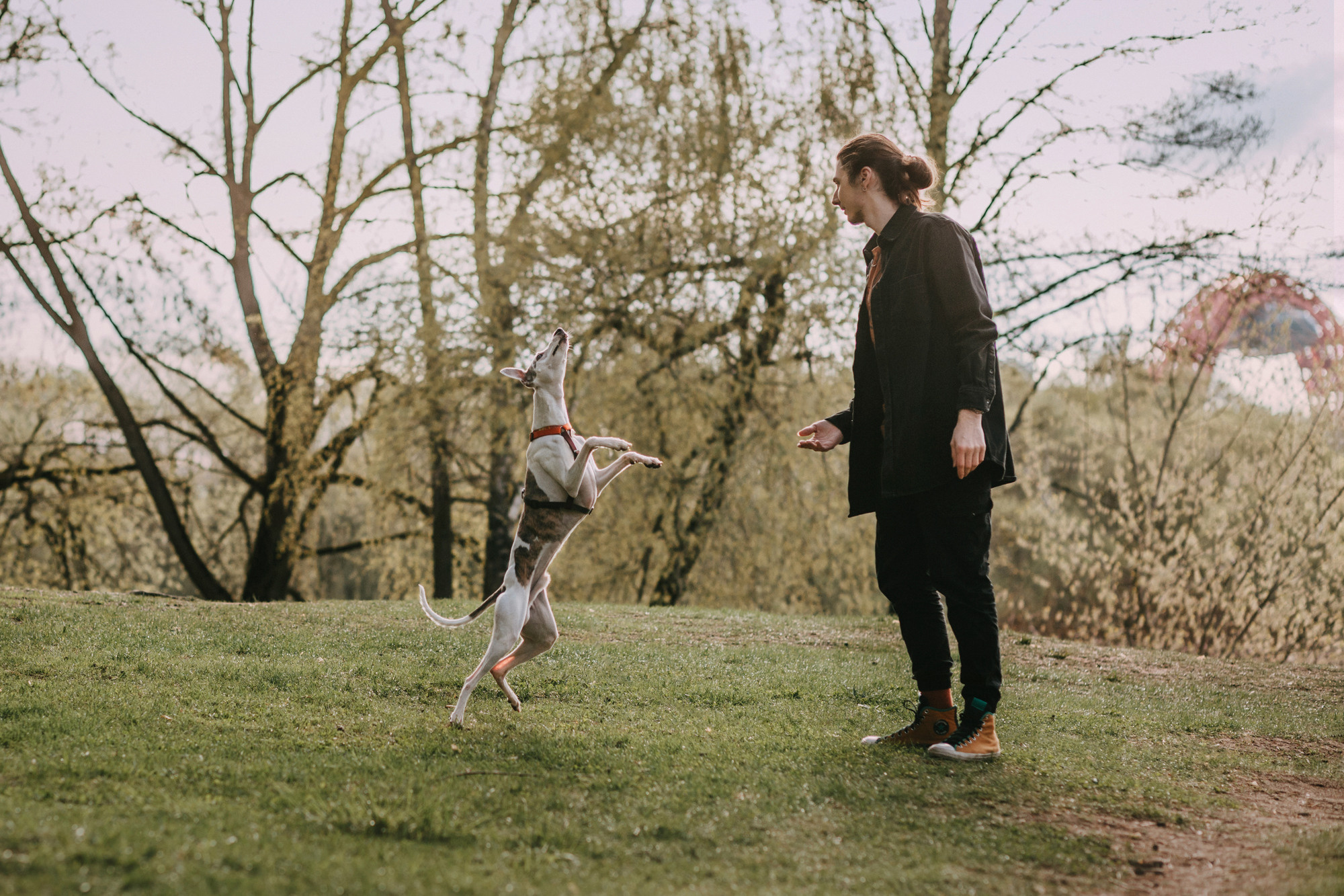 Соня, Максим, Данте и Ланя. Фотограф-анималист Елена Радченко, Москва