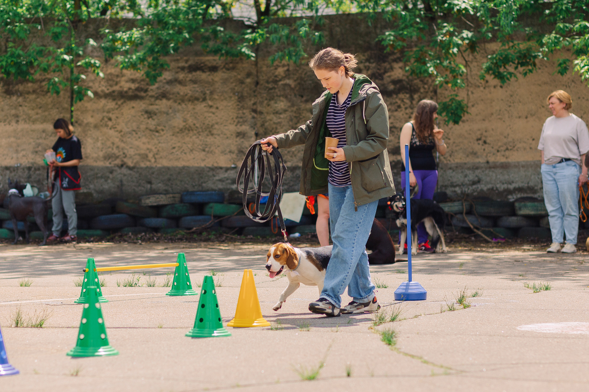 Дог-туса. Фотограф-анималист Елена Радченко, Москва