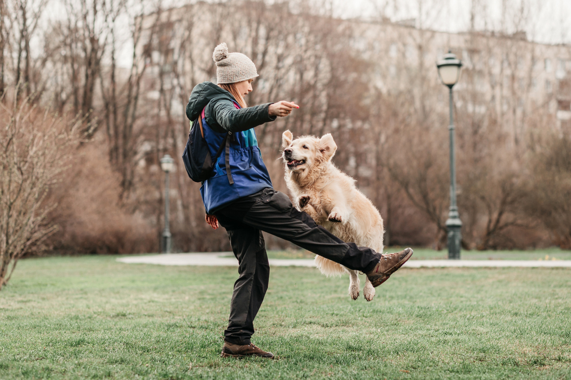 Ира, Бэлла и Альма. Фотограф-анималист Елена Радченко, Москва