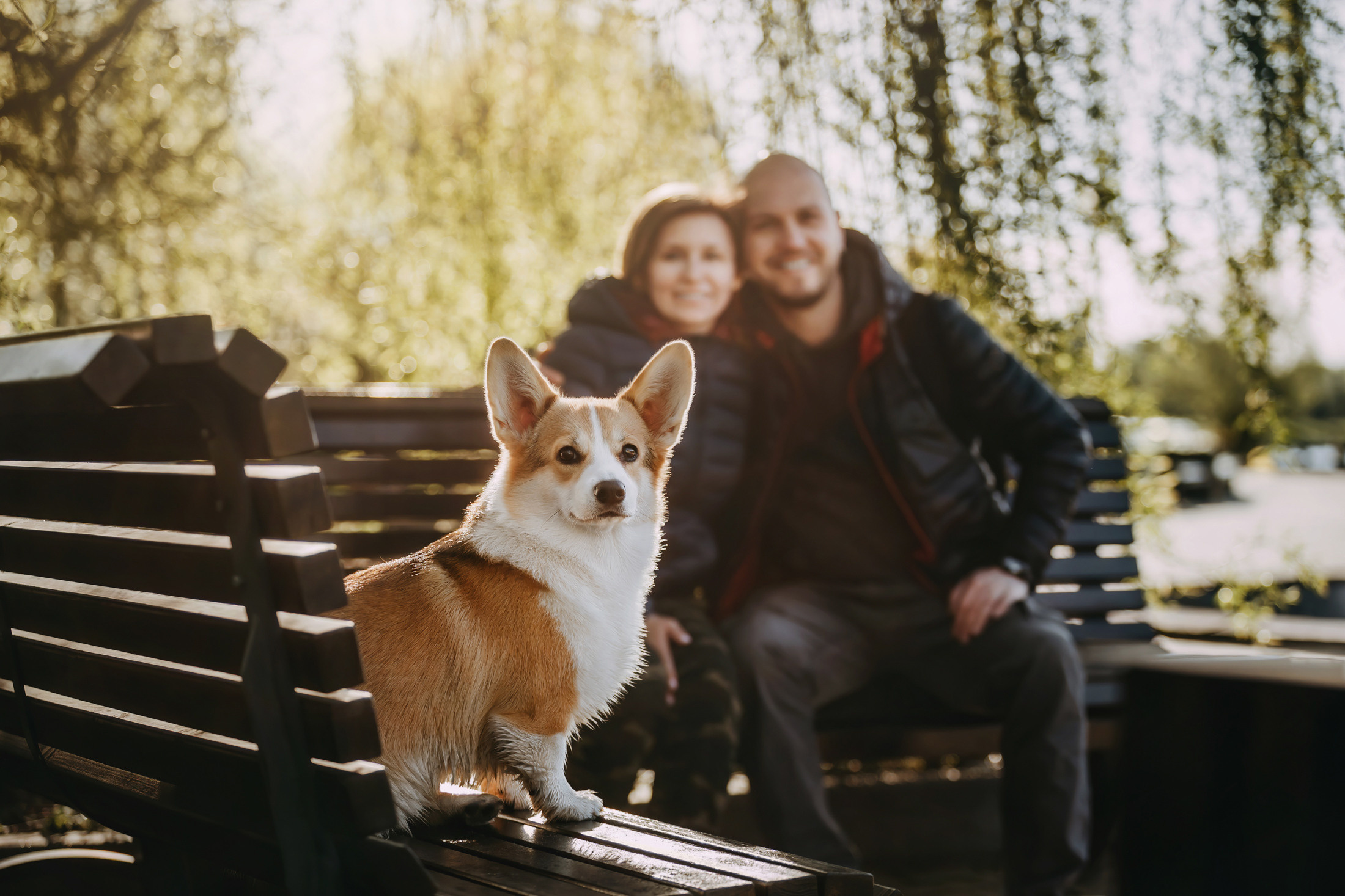 Вилла. Фотограф-анималист Елена Радченко, Москва
