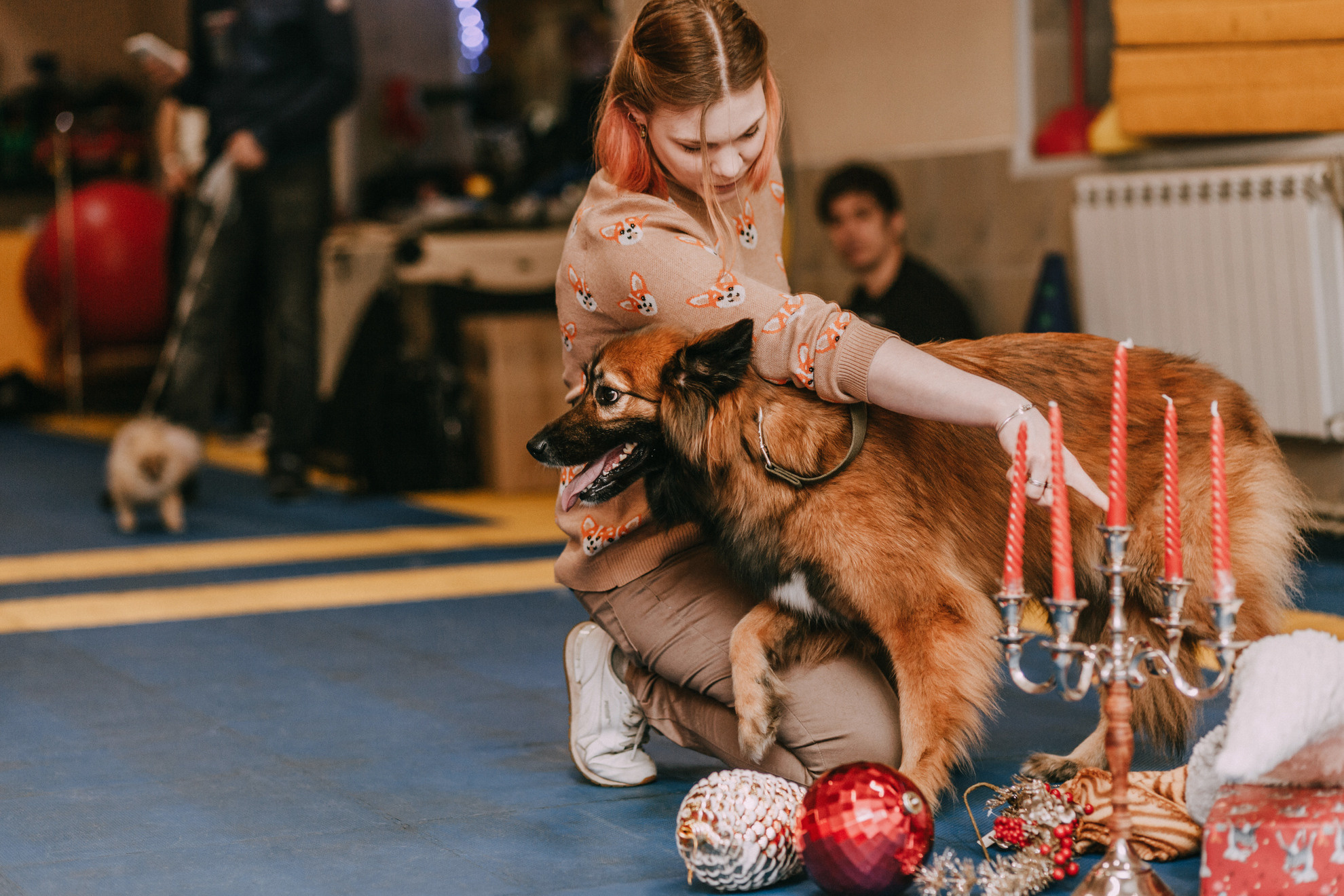 Собачий Новый год. Фотограф-анималист Елена Радченко, Москва