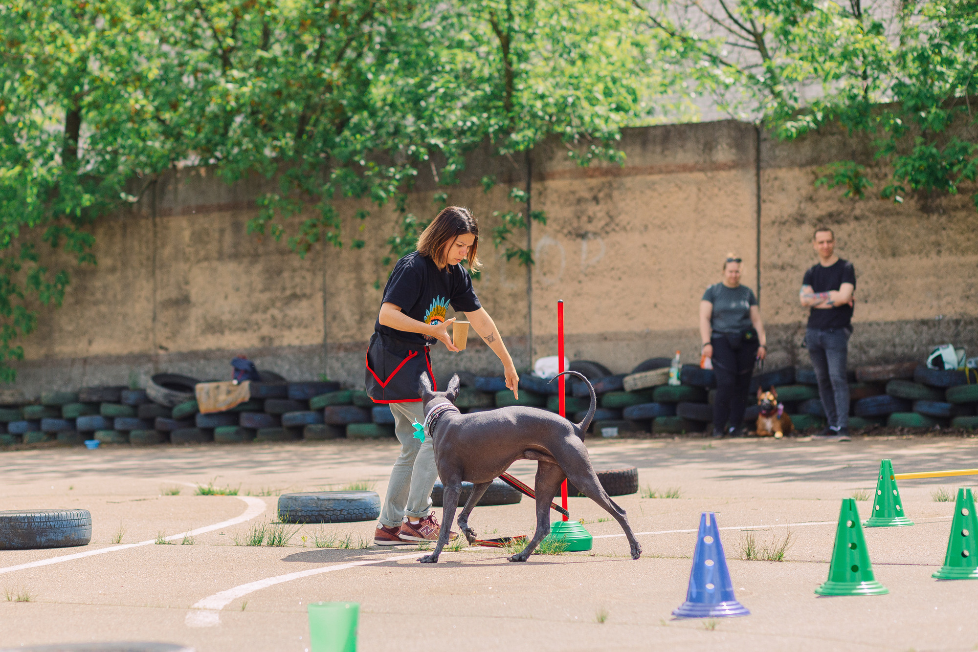 Дог-туса. Фотограф-анималист Елена Радченко, Москва