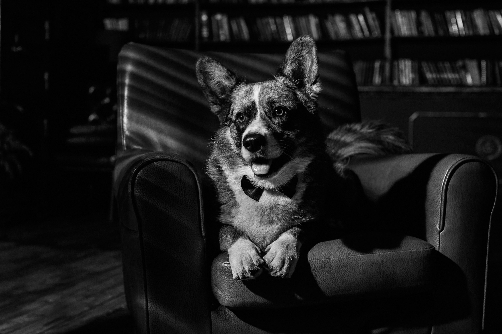 Оля и Куб. Фотограф-анималист Елена Радченко, Москва