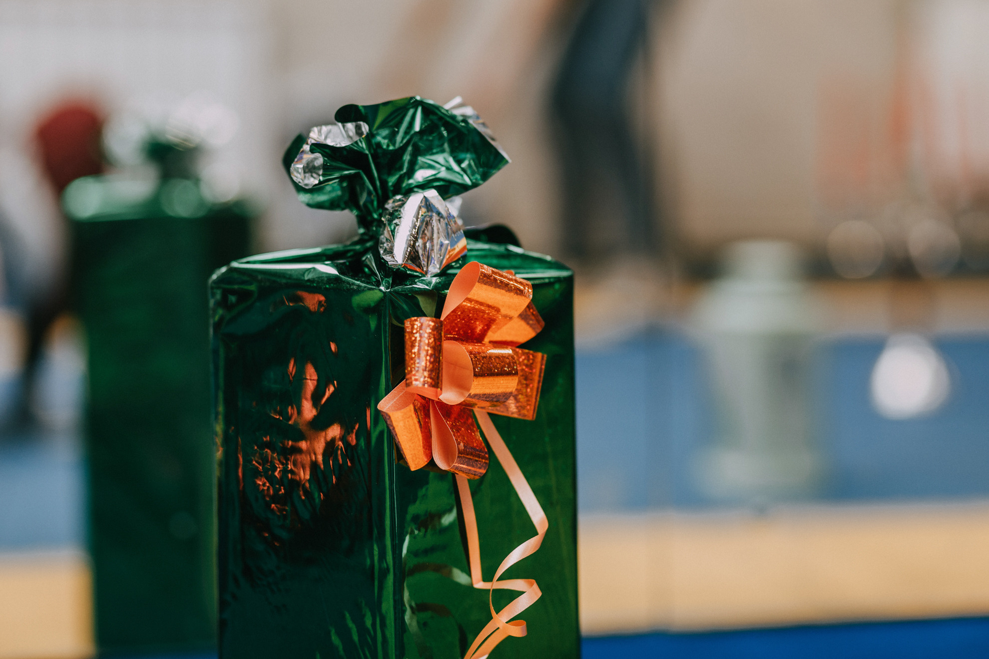 Собачий Новый год. Фотограф-анималист Елена Радченко, Москва