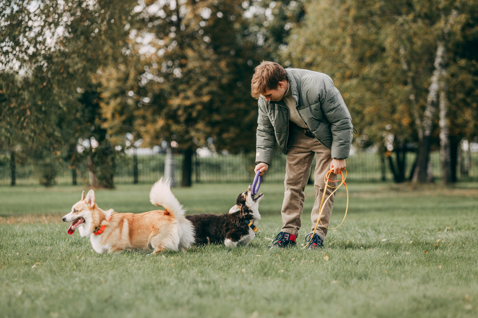День рождения Габи. Фотограф-анималист Елена Радченко, Москва
