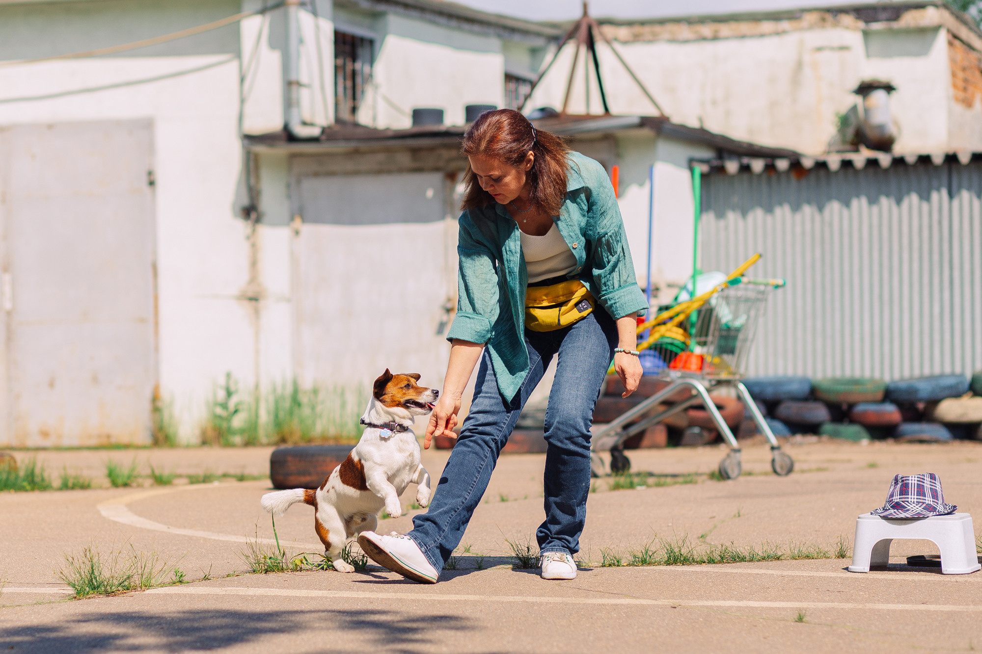 Дог-туса. Фотограф-анималист Елена Радченко, Москва