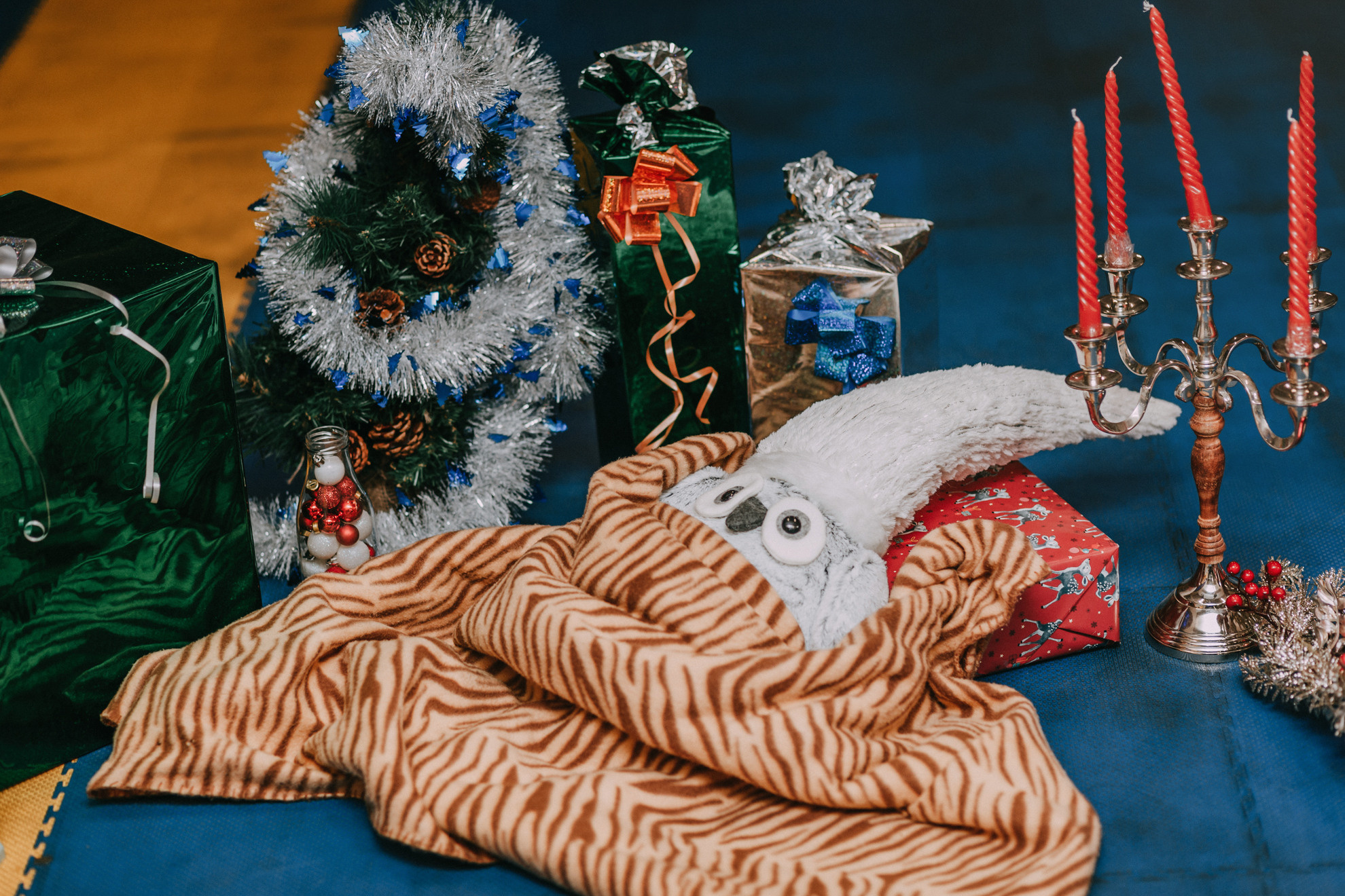 Собачий Новый год. Фотограф-анималист Елена Радченко, Москва