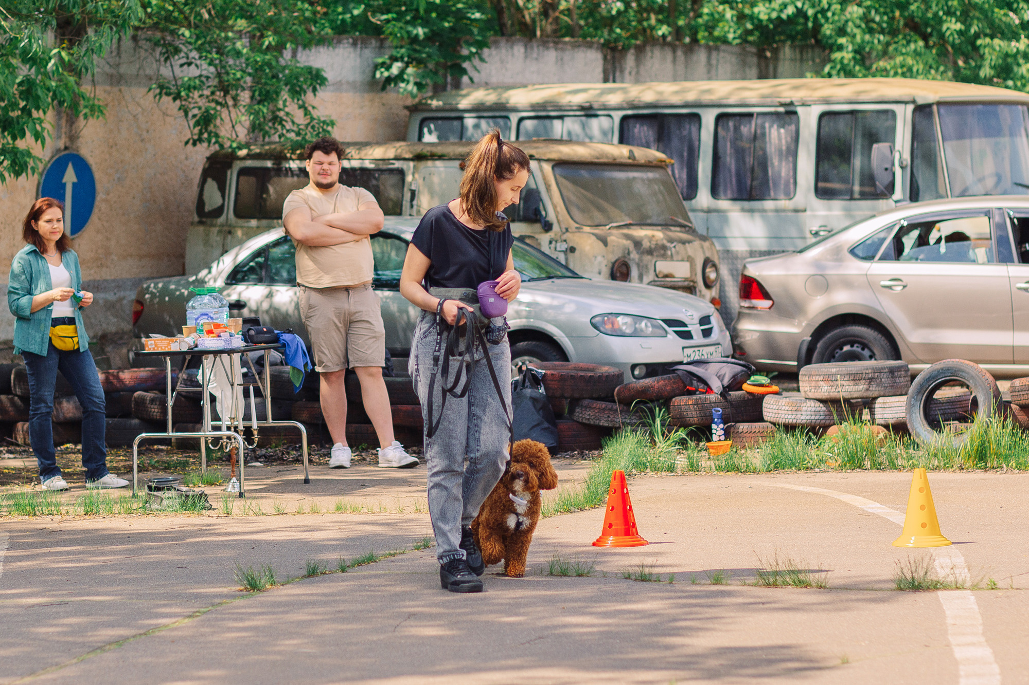 Дог-туса. Фотограф-анималист Елена Радченко, Москва