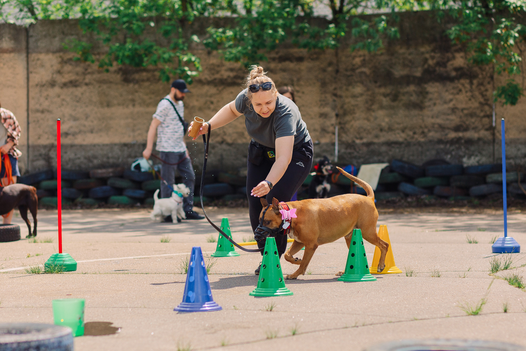 Дог-туса. Фотограф-анималист Елена Радченко, Москва