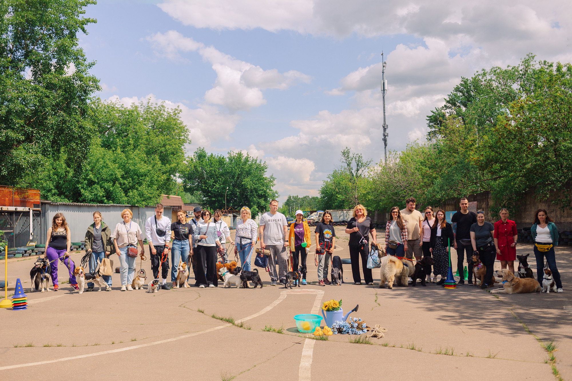 Дог-туса. Фотограф-анималист Елена Радченко, Москва
