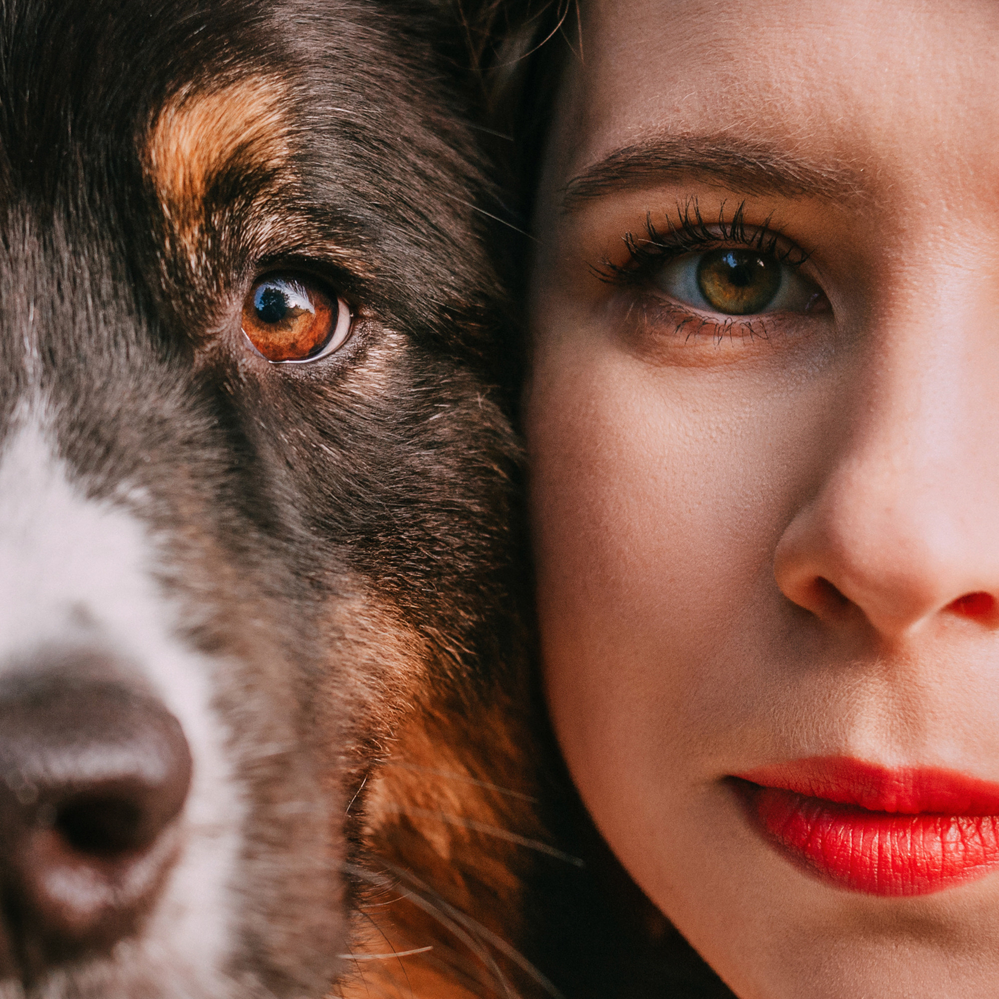 Анна, Чарли и Ева. Фотограф-анималист Елена Радченко, Москва