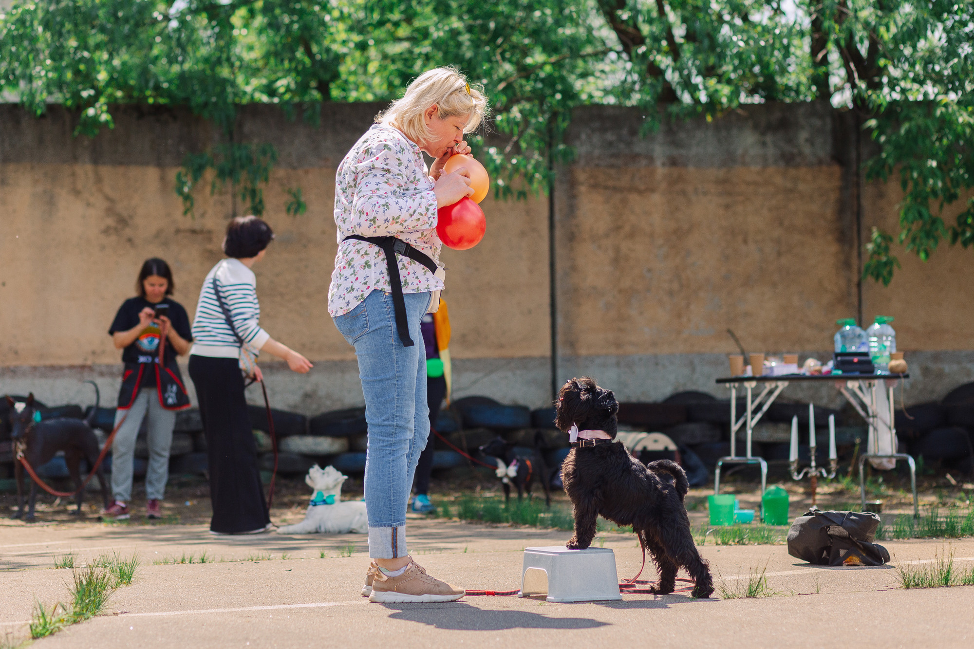 Дог-туса. Фотограф-анималист Елена Радченко, Москва