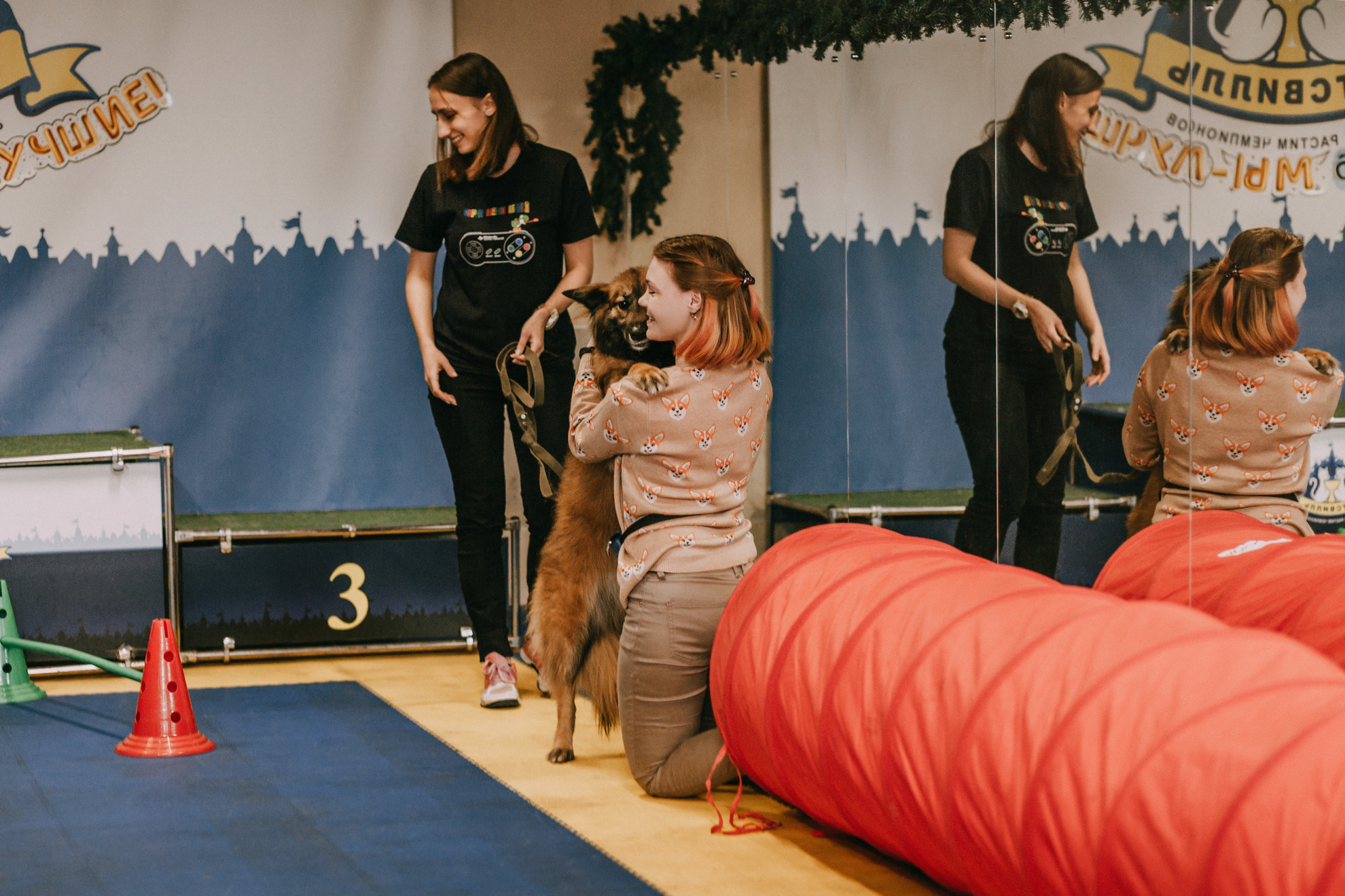 Собачий Новый год. Фотограф-анималист Елена Радченко, Москва