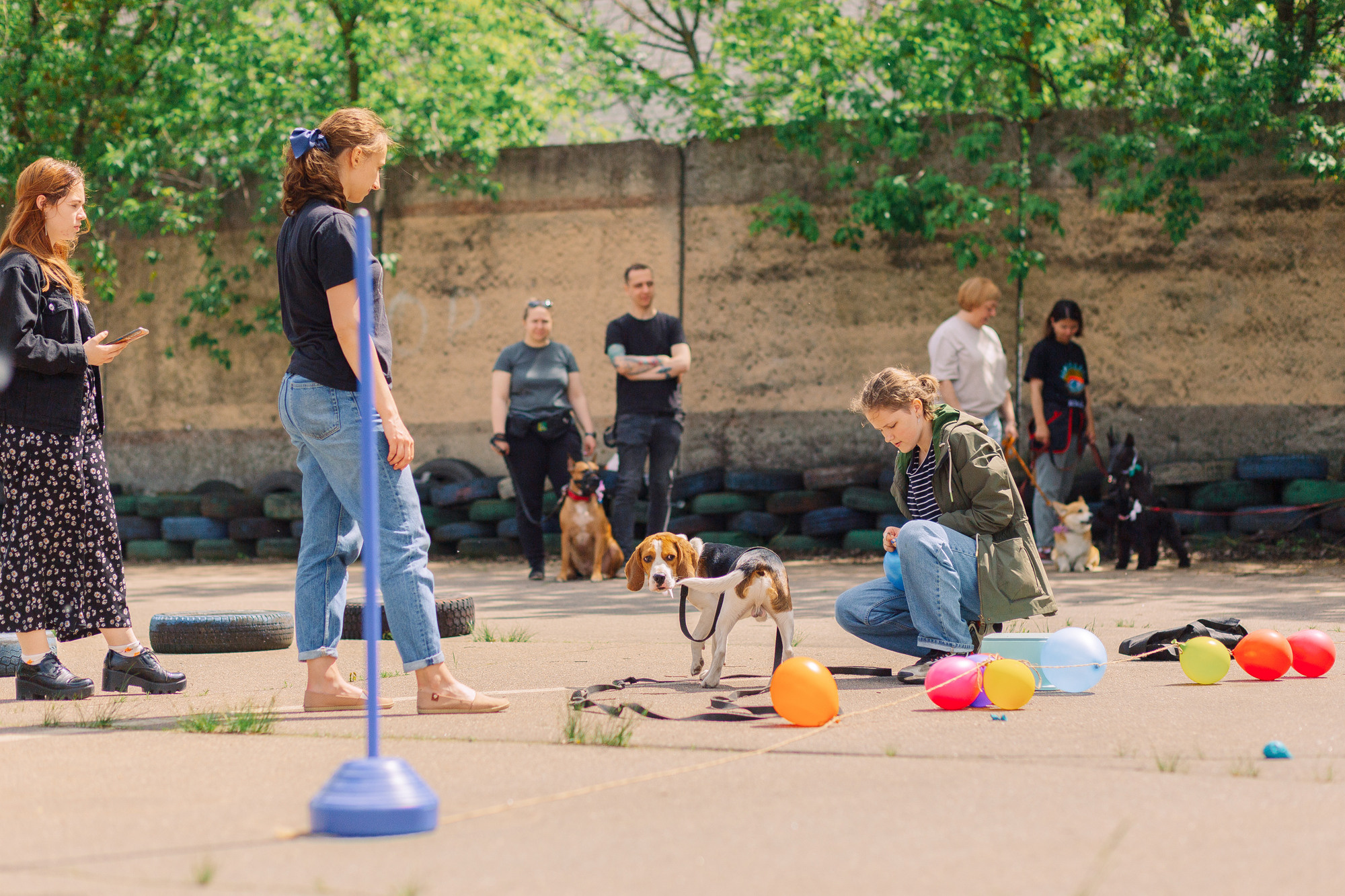 Дог-туса. Фотограф-анималист Елена Радченко, Москва