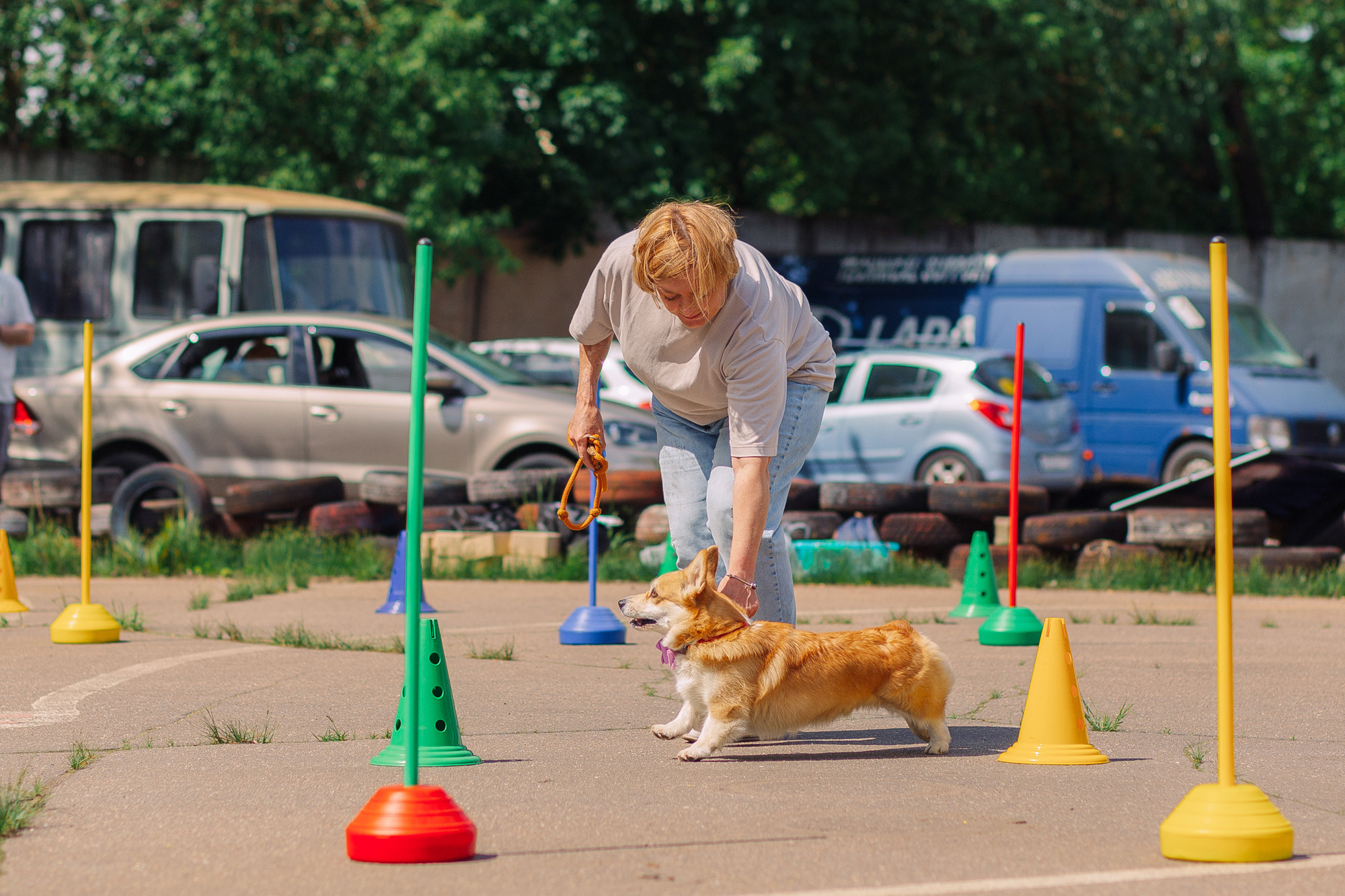 Дог-туса. Фотограф-анималист Елена Радченко, Москва