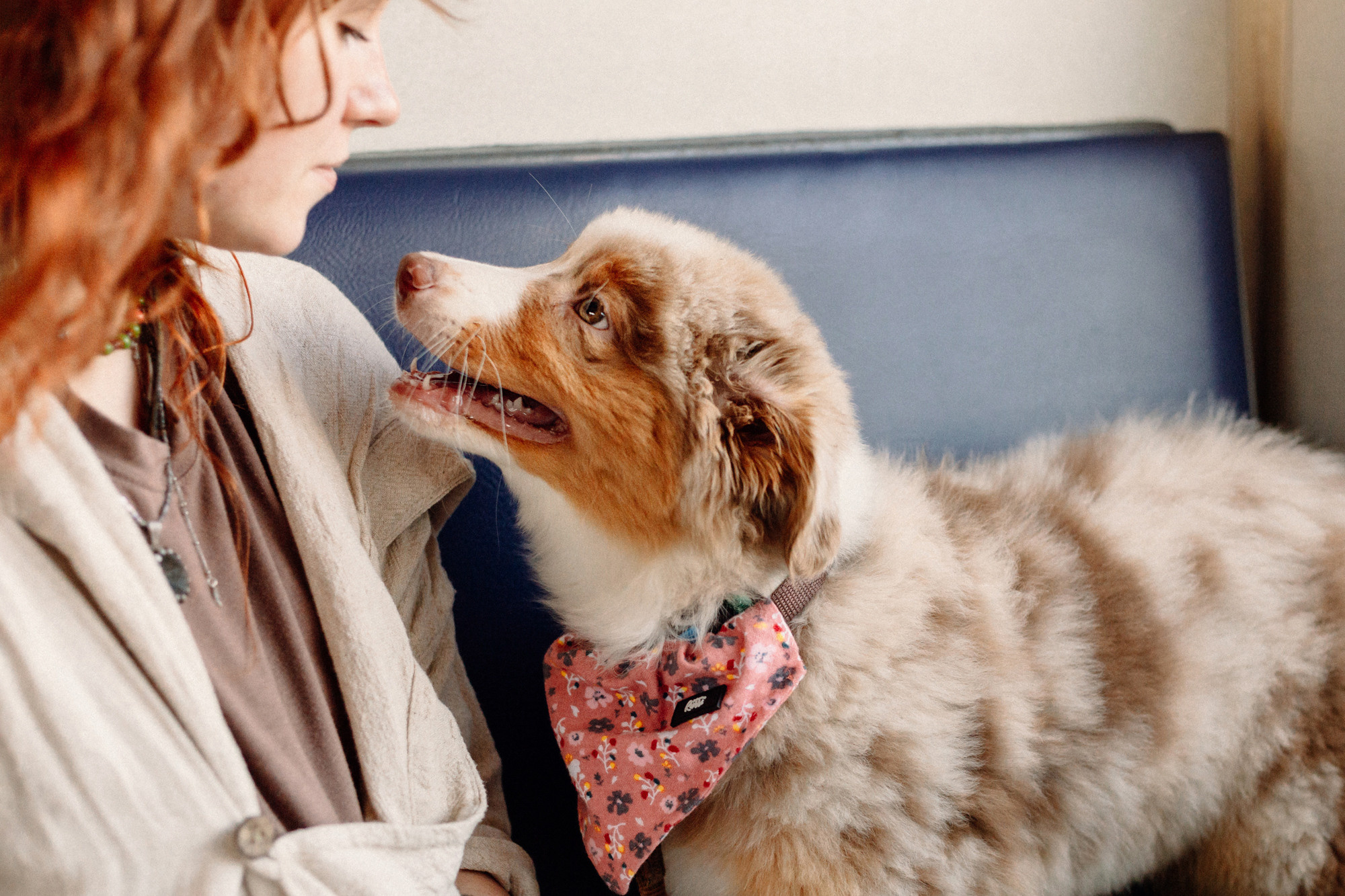 Тася и Брусника. Встреча с поезда. Фотограф-анималист Елена Радченко, Москва