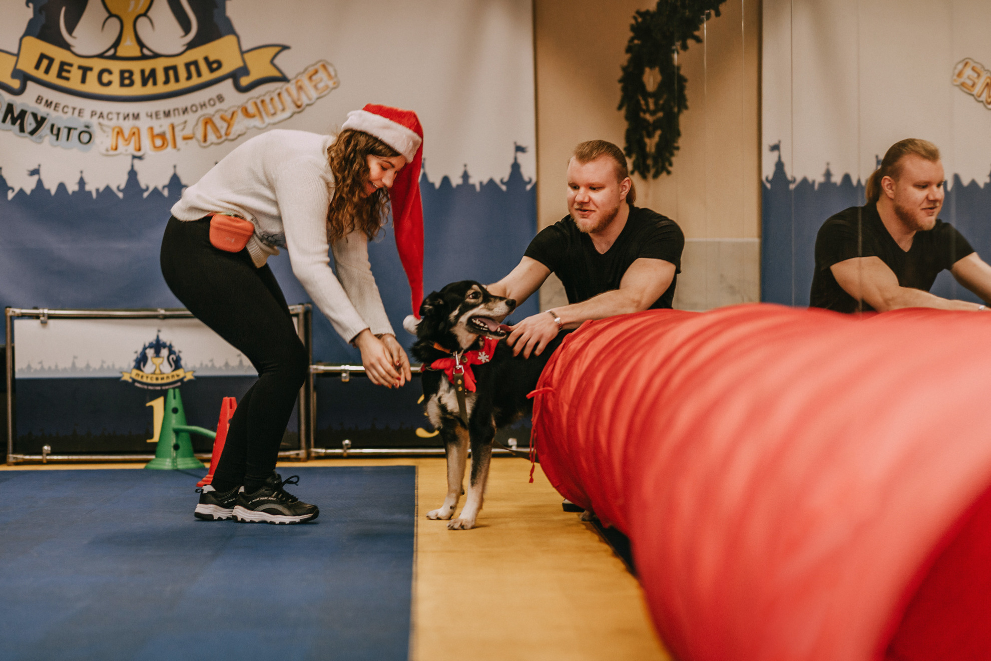 Собачий Новый год. Фотограф-анималист Елена Радченко, Москва