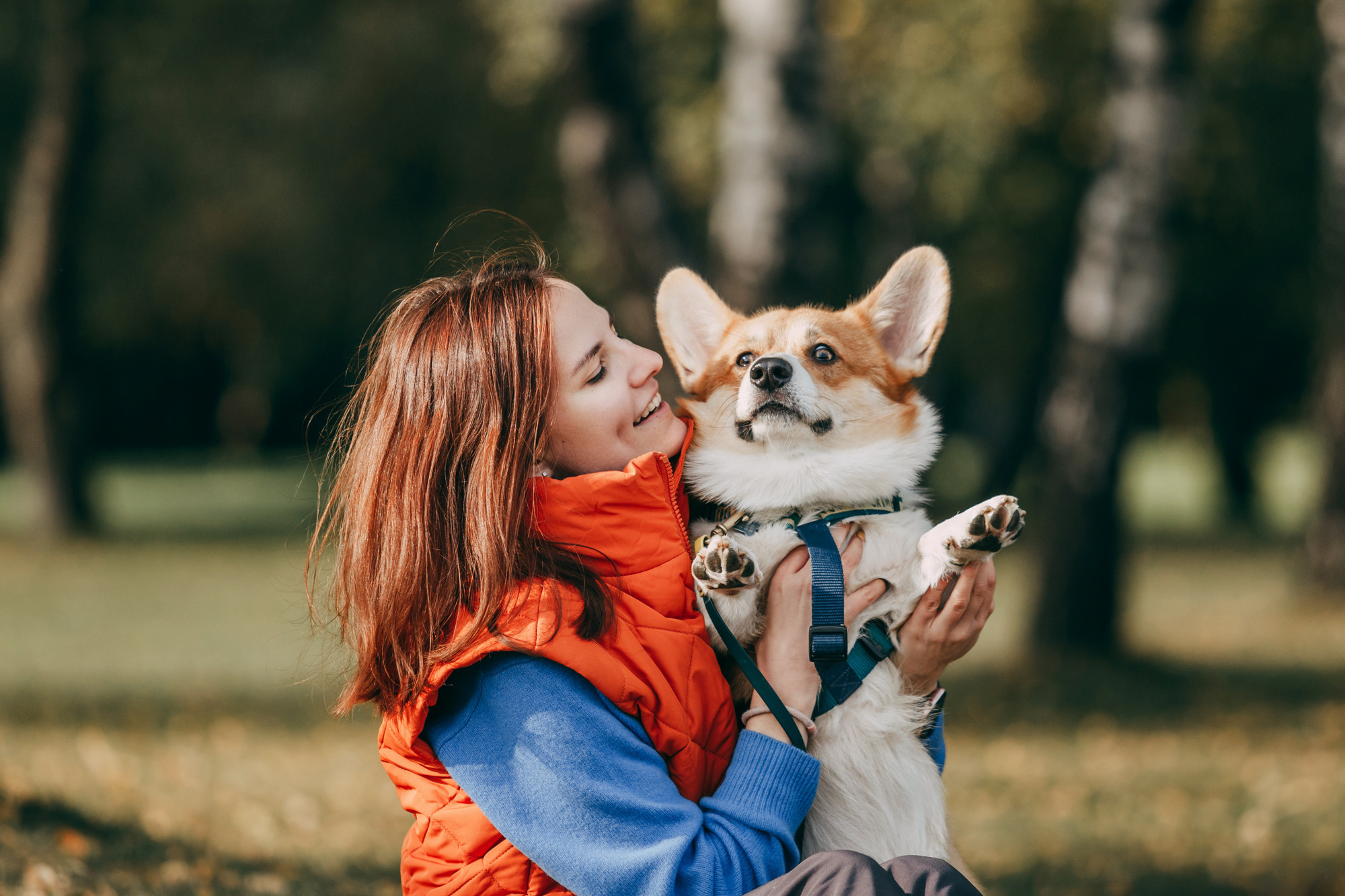 День рождения Габи. Фотограф-анималист Елена Радченко, Москва