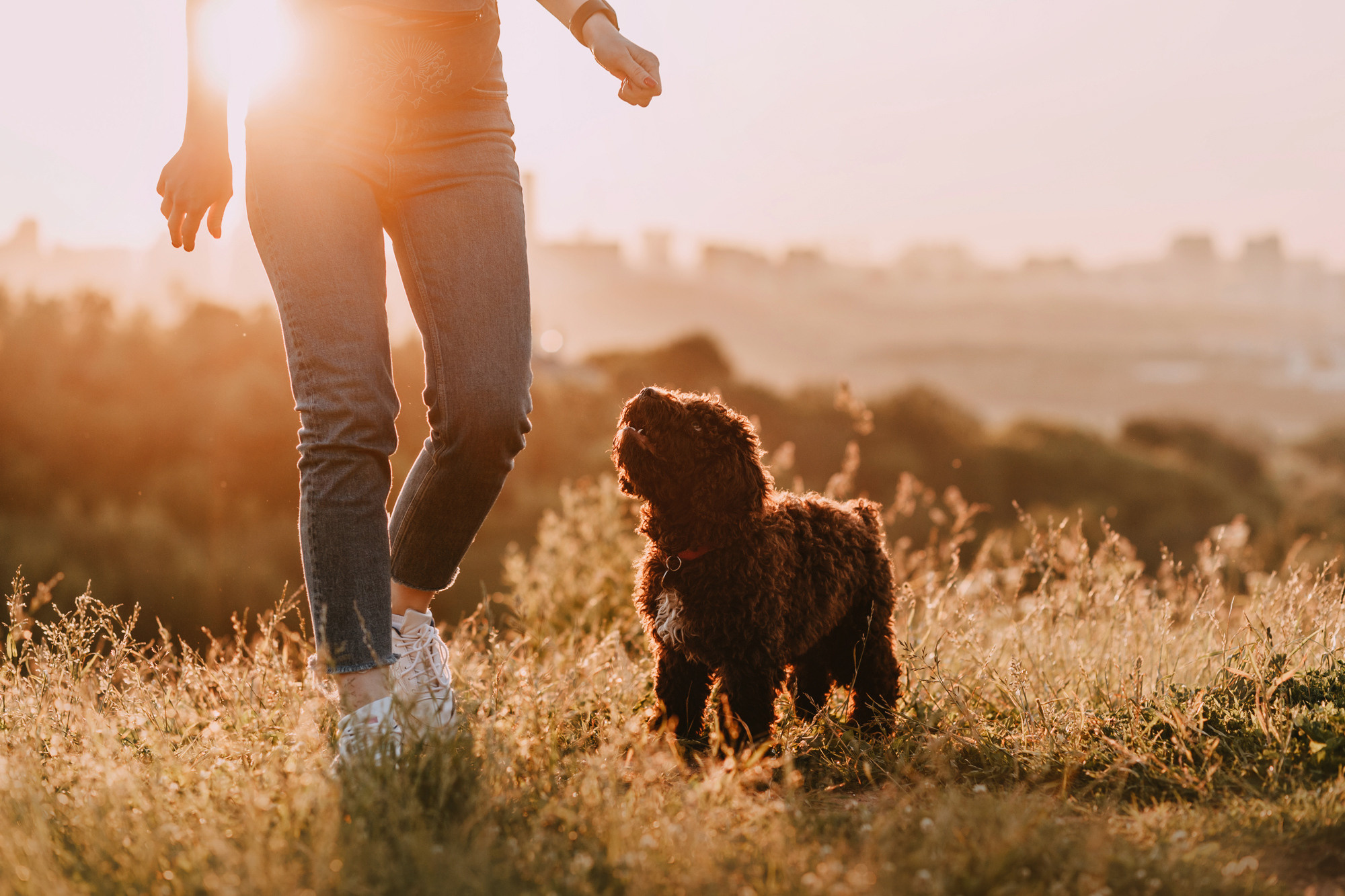 Майя и Снуп. Фотограф-анималист Елена Радченко, Москва