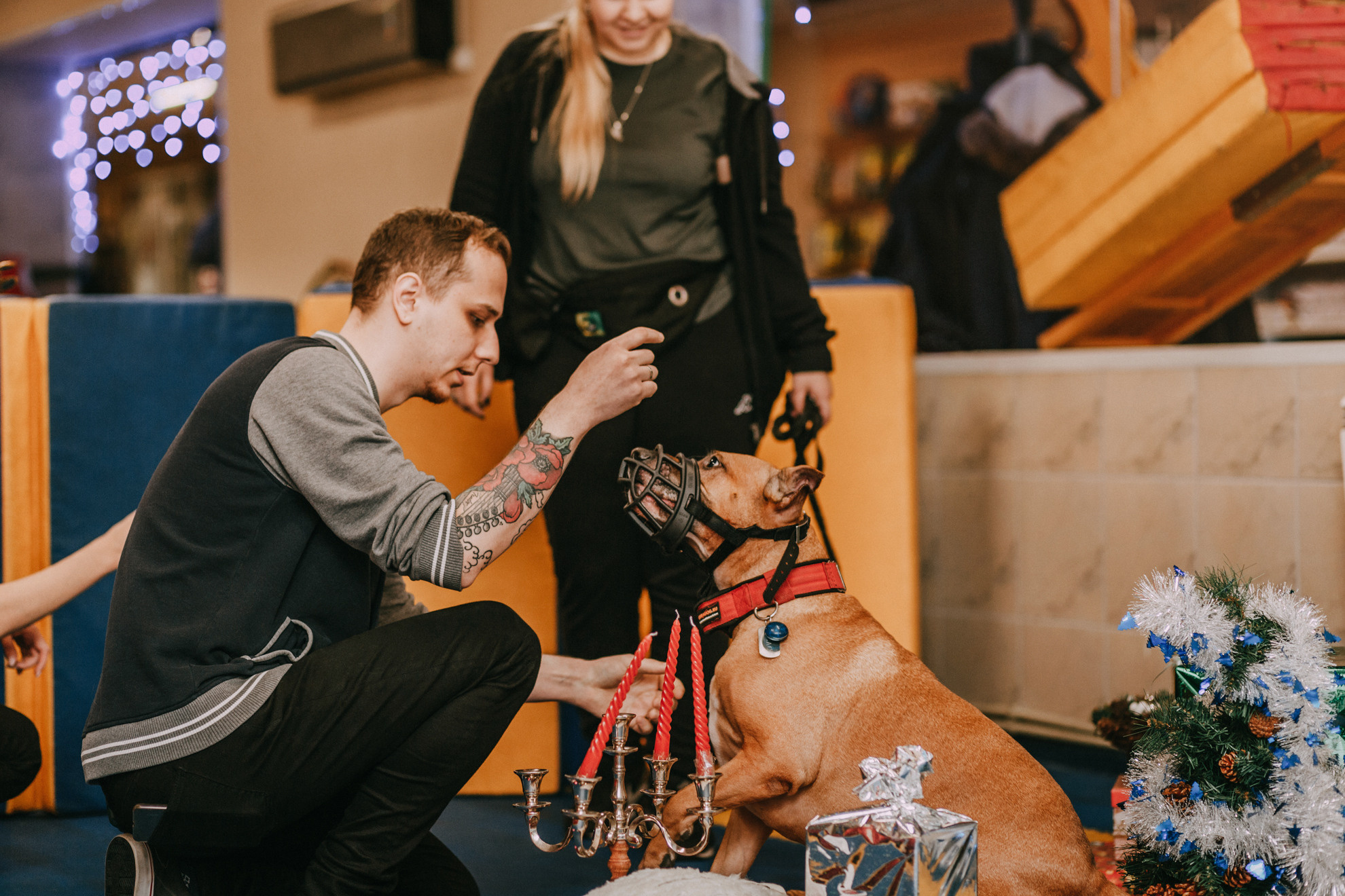 Собачий Новый год. Фотограф-анималист Елена Радченко, Москва