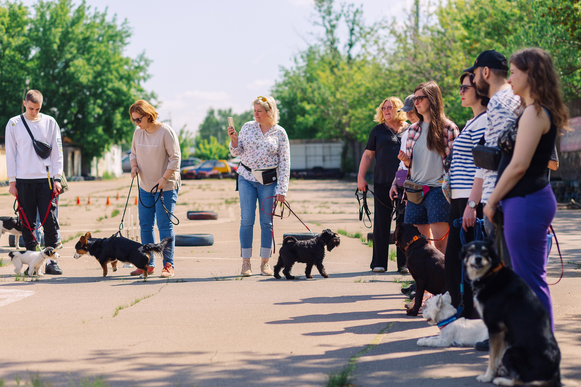 Дог-туса. Фотограф-анималист Елена Радченко, Москва