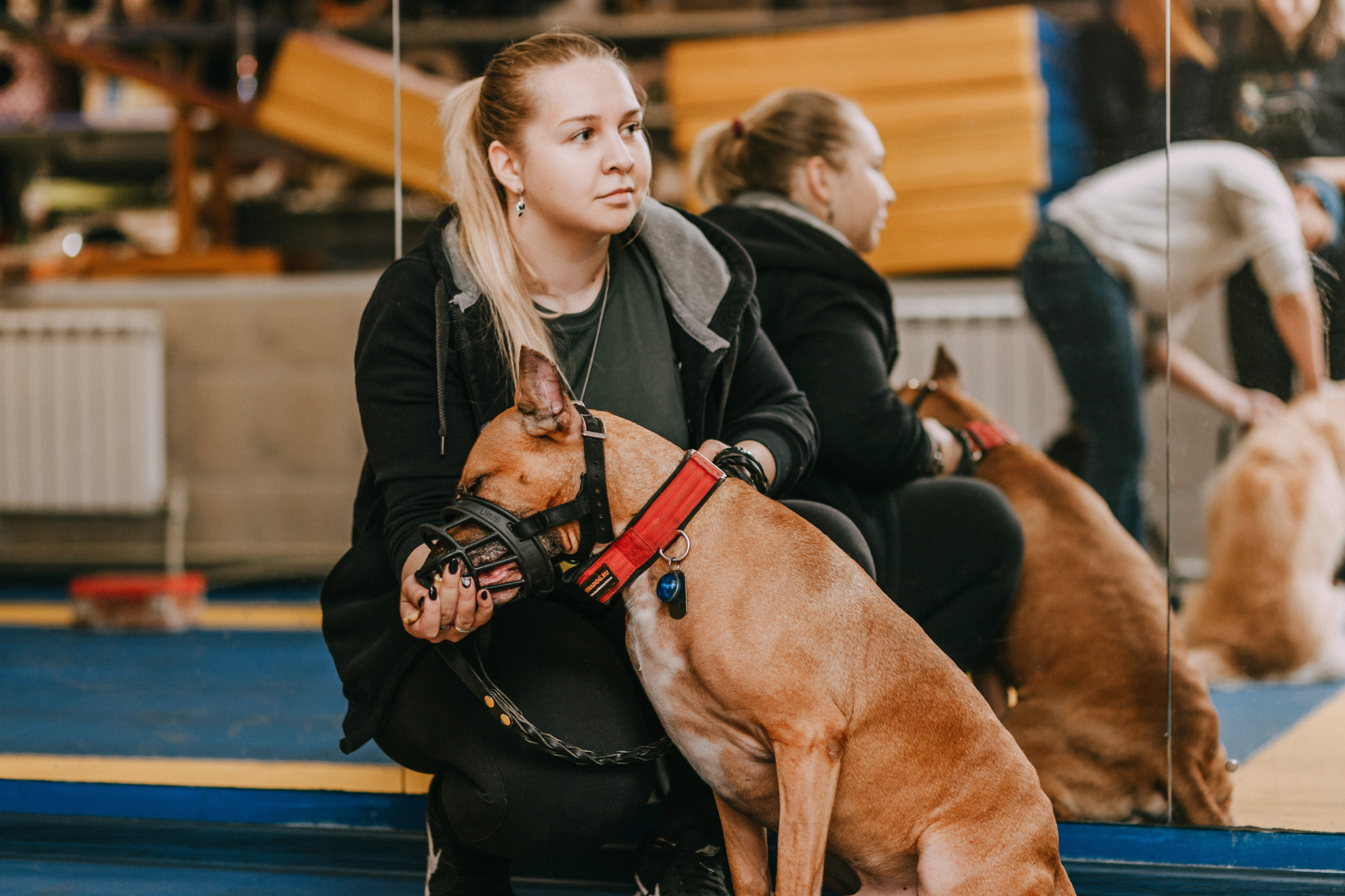 Собачий Новый год. Фотограф-анималист Елена Радченко, Москва