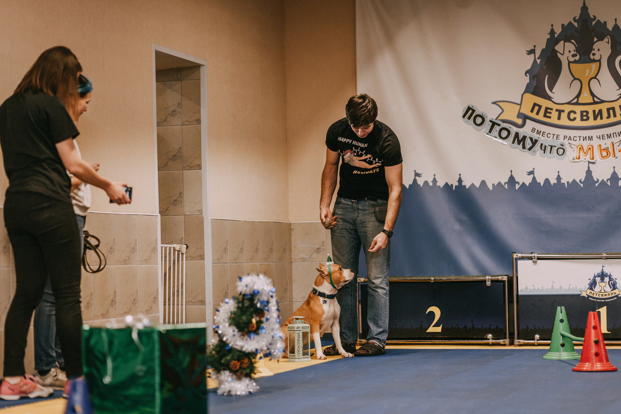 Собачий Новый год. Фотограф-анималист Елена Радченко, Москва