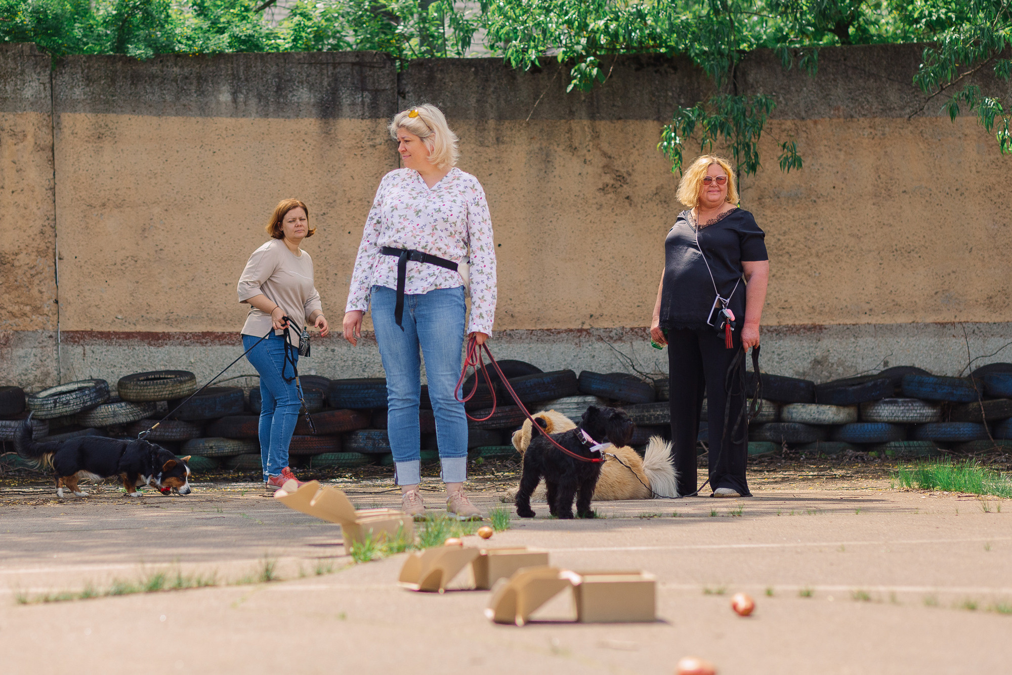 Дог-туса. Фотограф-анималист Елена Радченко, Москва