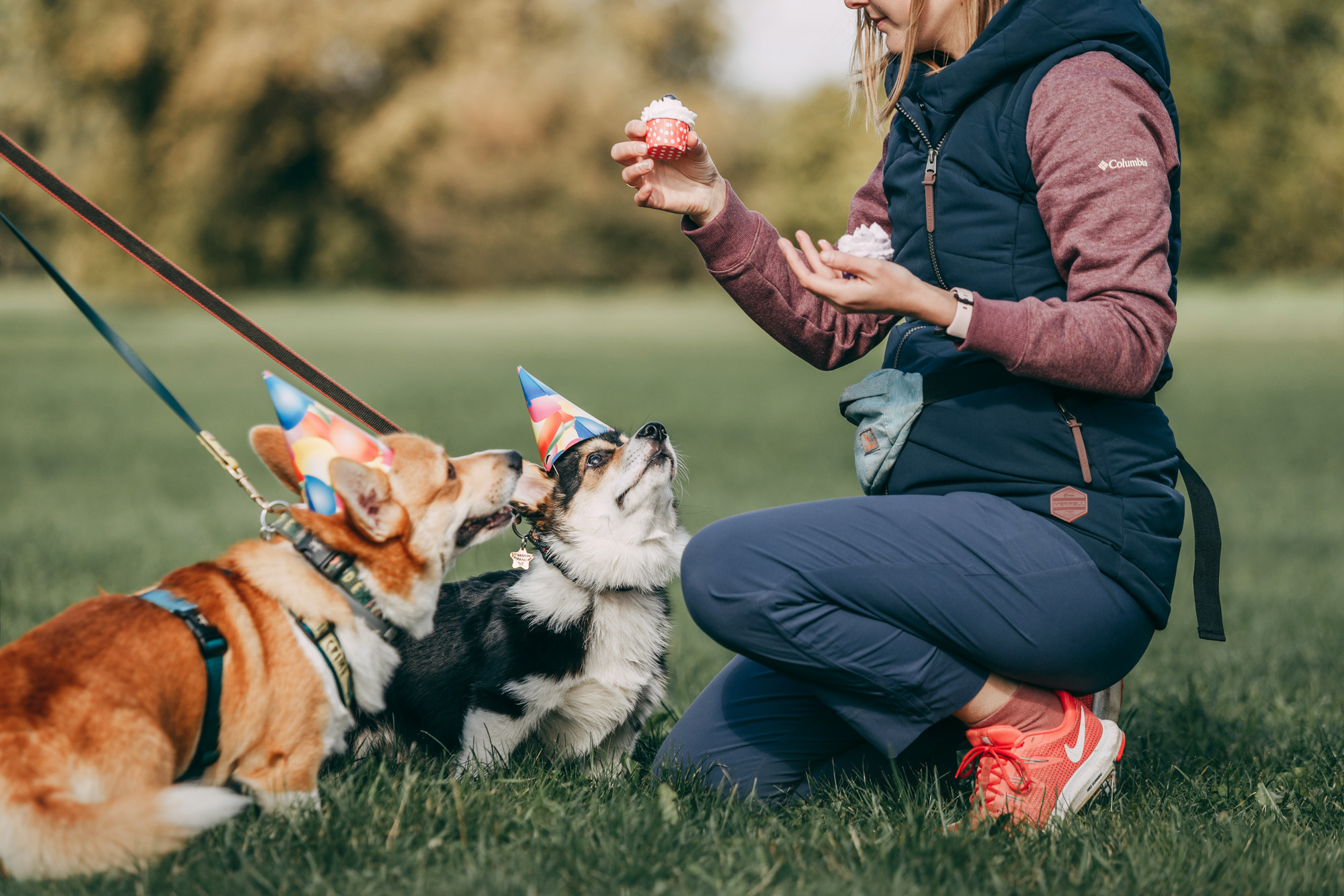 День рождения Габи. Фотограф-анималист Елена Радченко, Москва